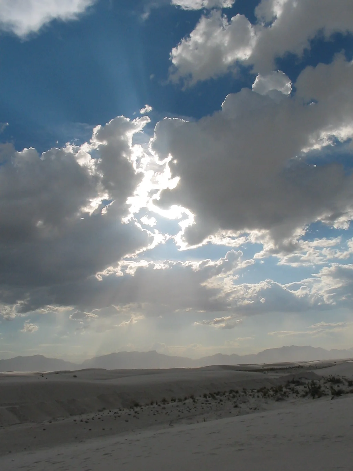 FIOREIMAGE LANDSCAPE