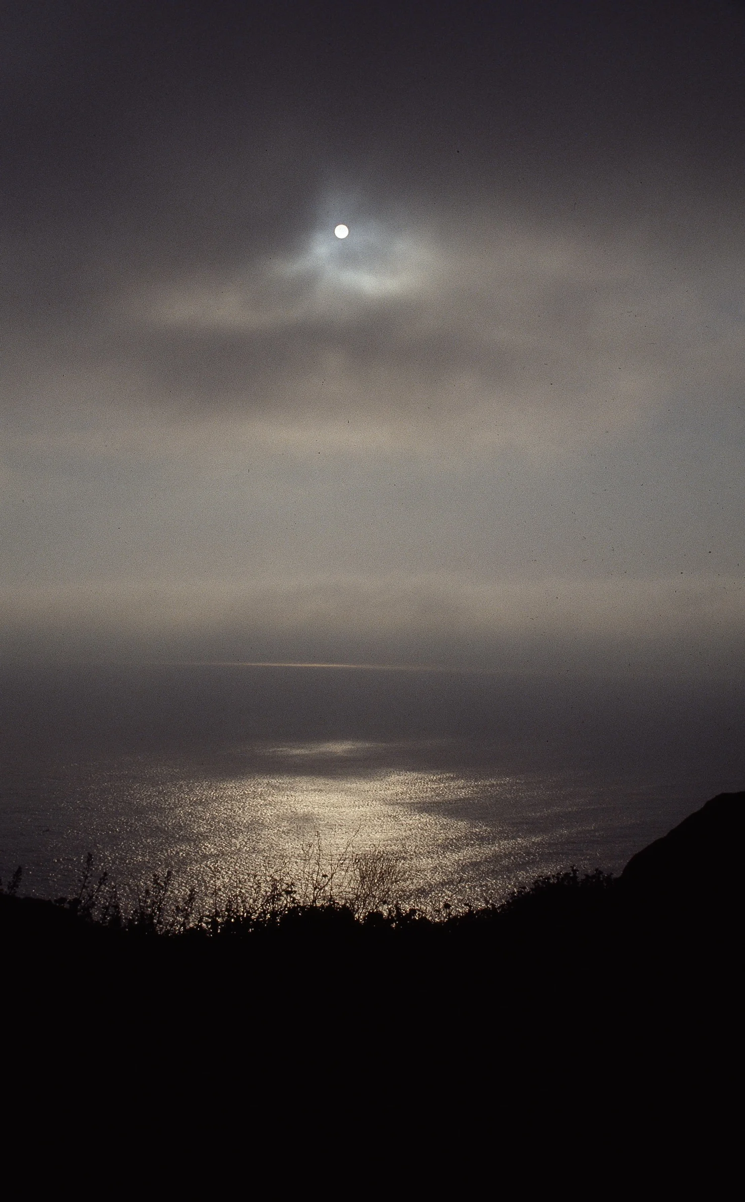 FIOREIMAGE LANDSCAPE