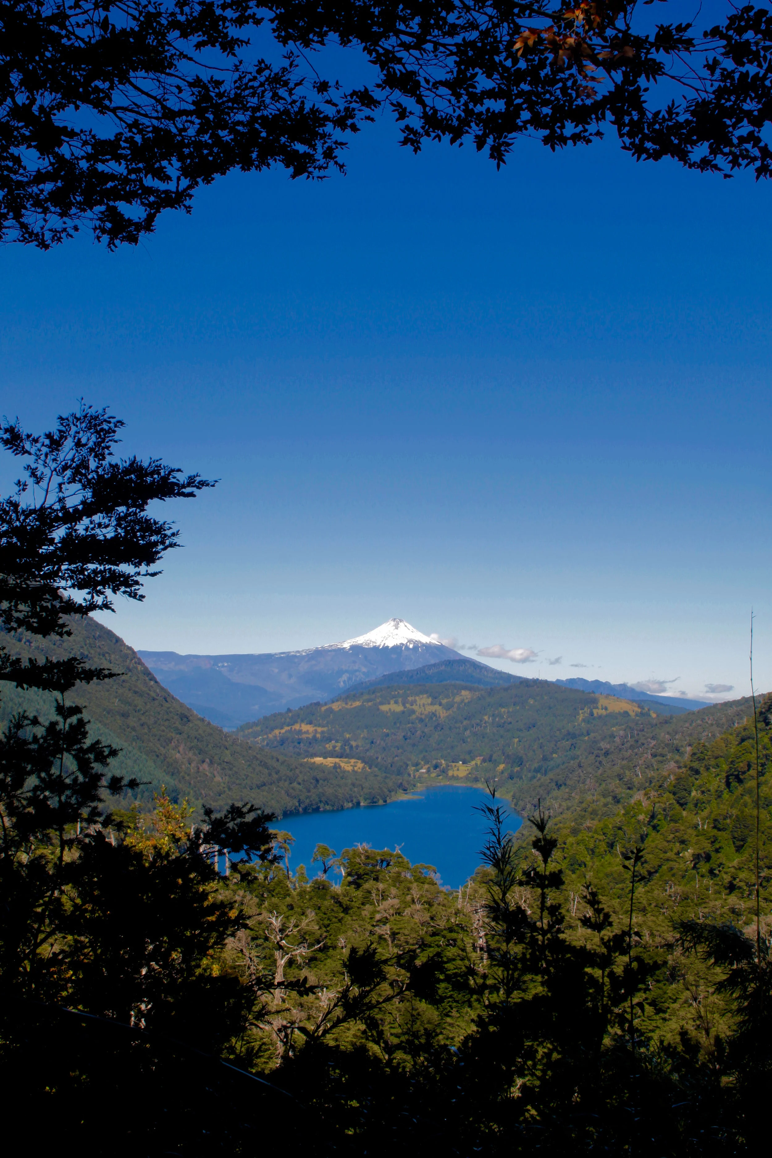 FIOREIMAGE LANDSCAPE