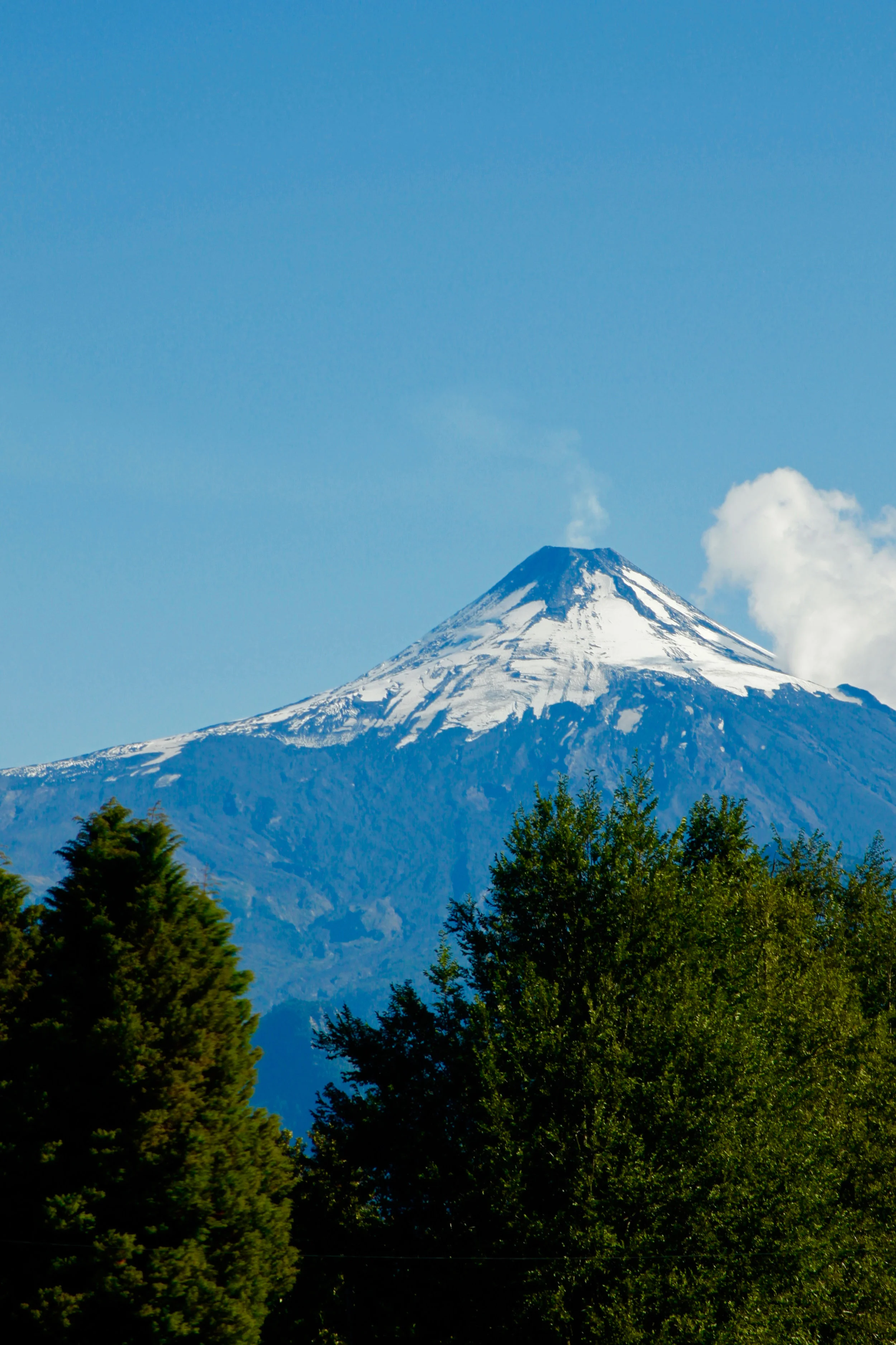 FIOREIMAGE LANDSCAPE