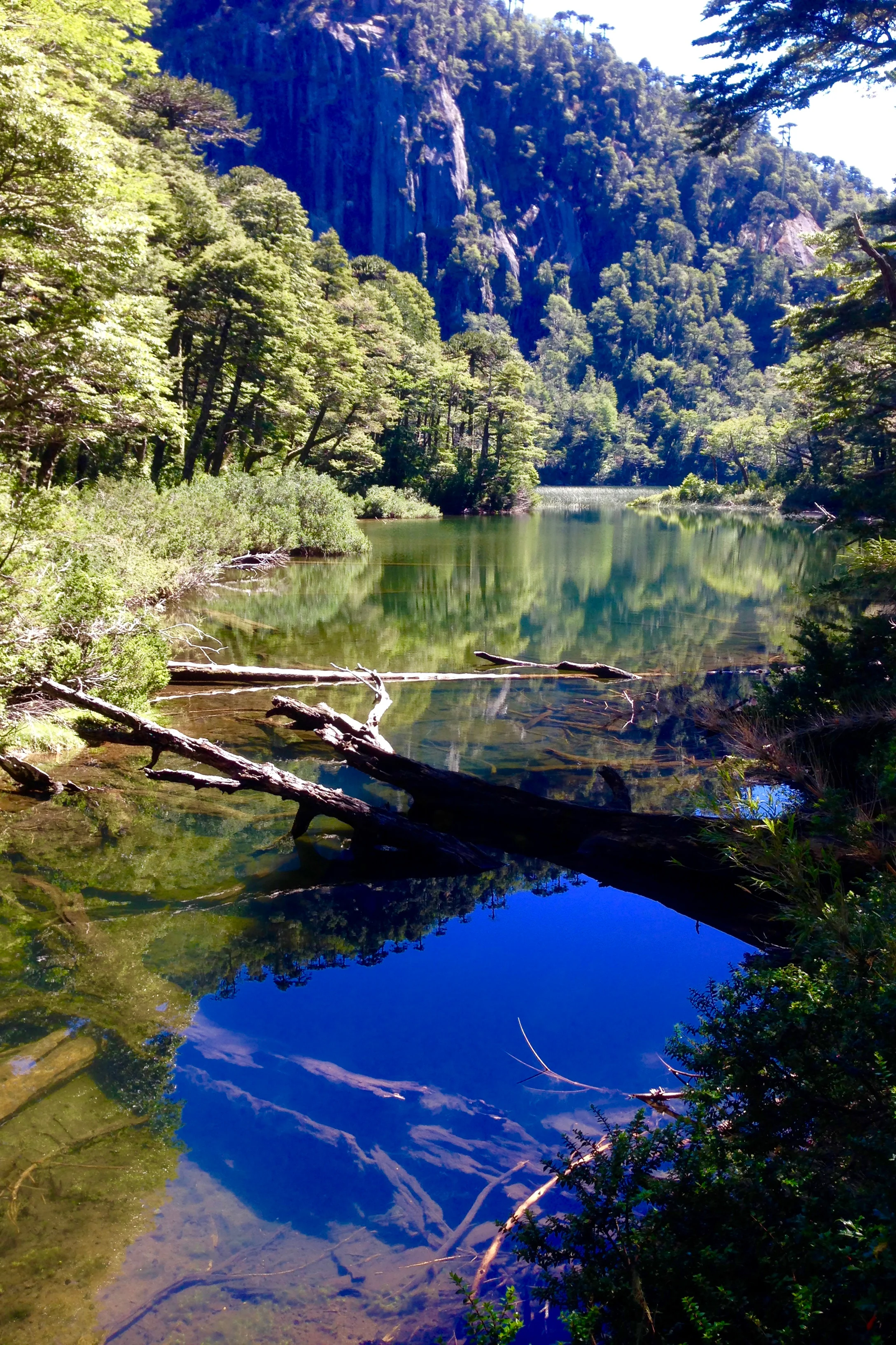 FIOREIMAGE LANDSCAPE