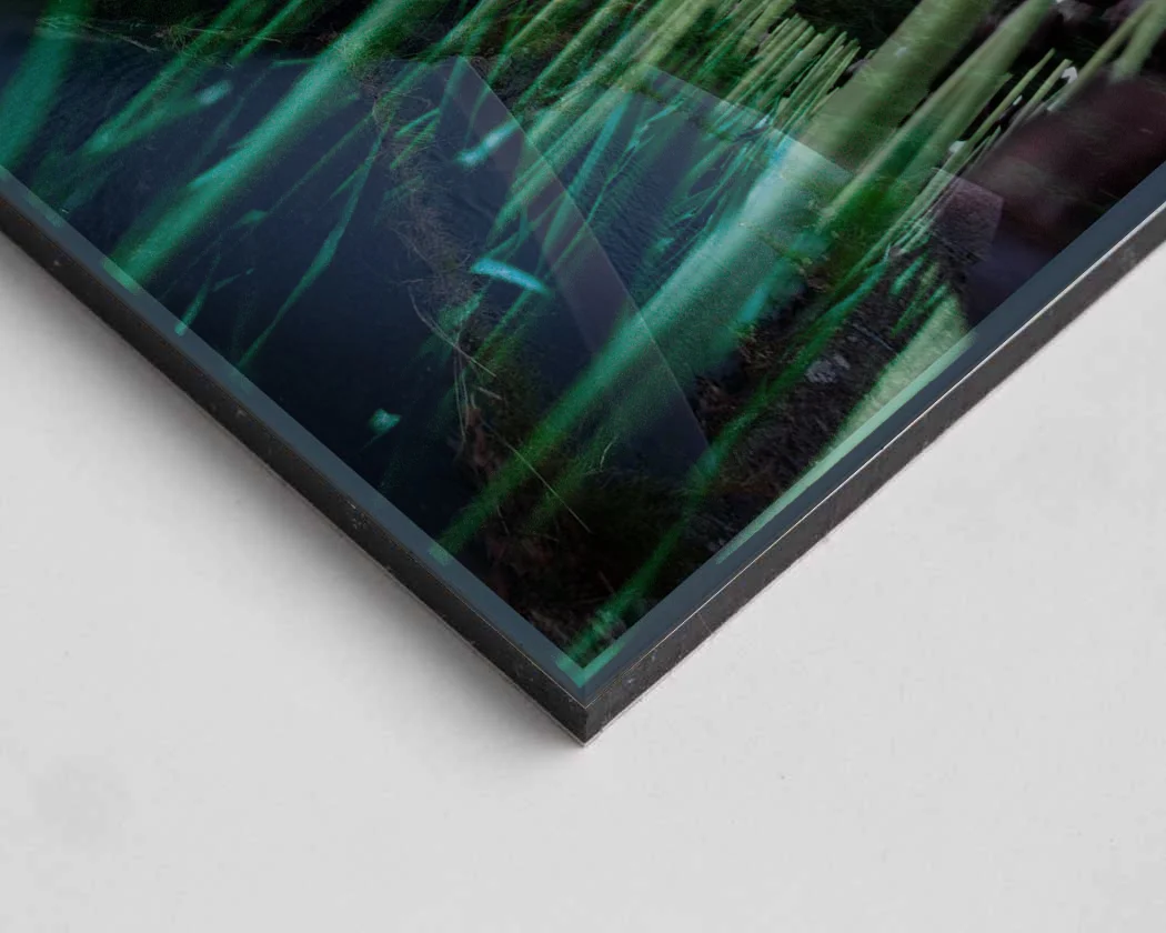 Detail Fine-art Print on Dibond behind Acrylic Glass I .jpg