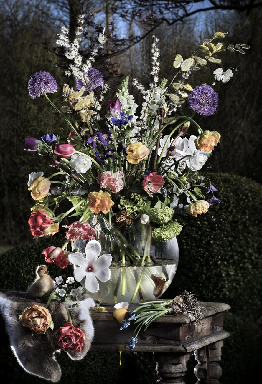 Spring Flowers Spring Season 2019