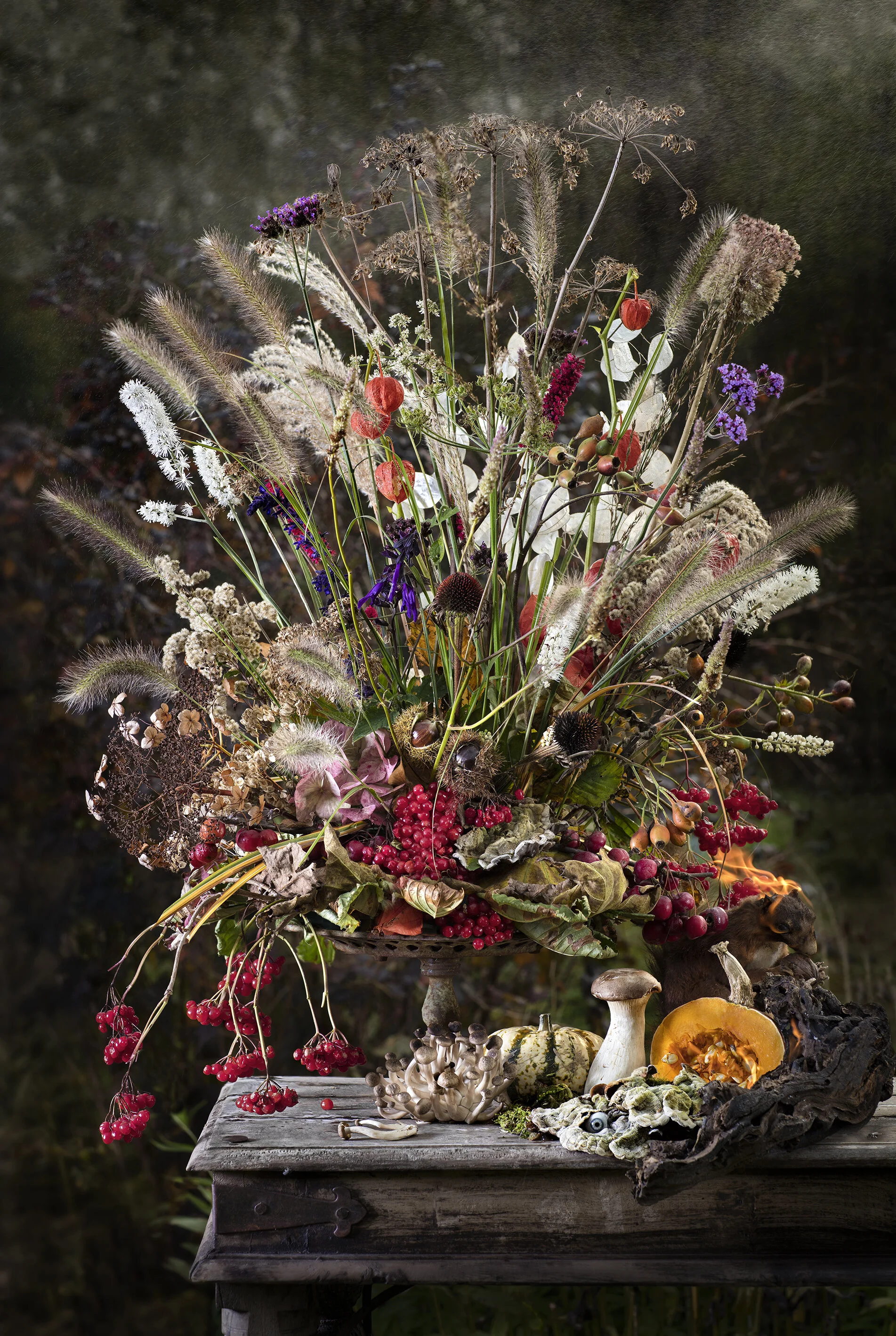 Flowers in the Garden Autumn Season 2017