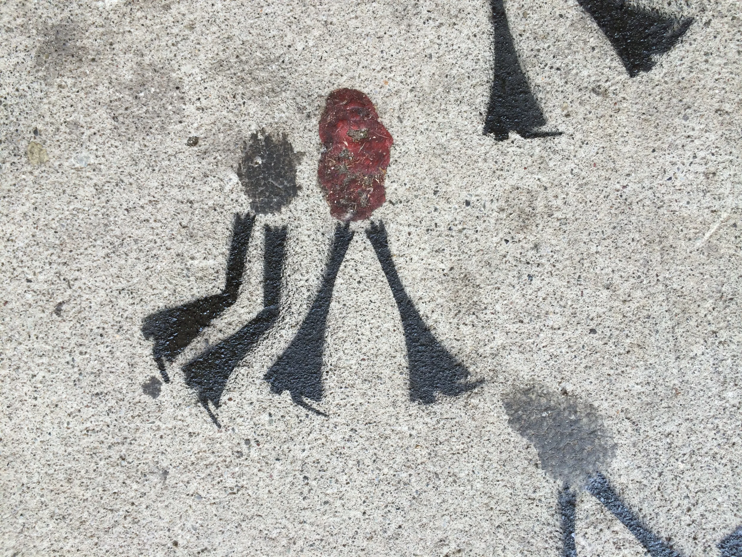 Gumhead Sidewalks, follow me.JPG