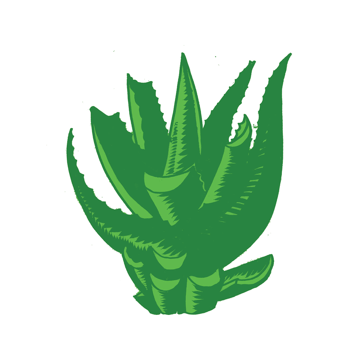 stage2_0002s_0016_02b.png