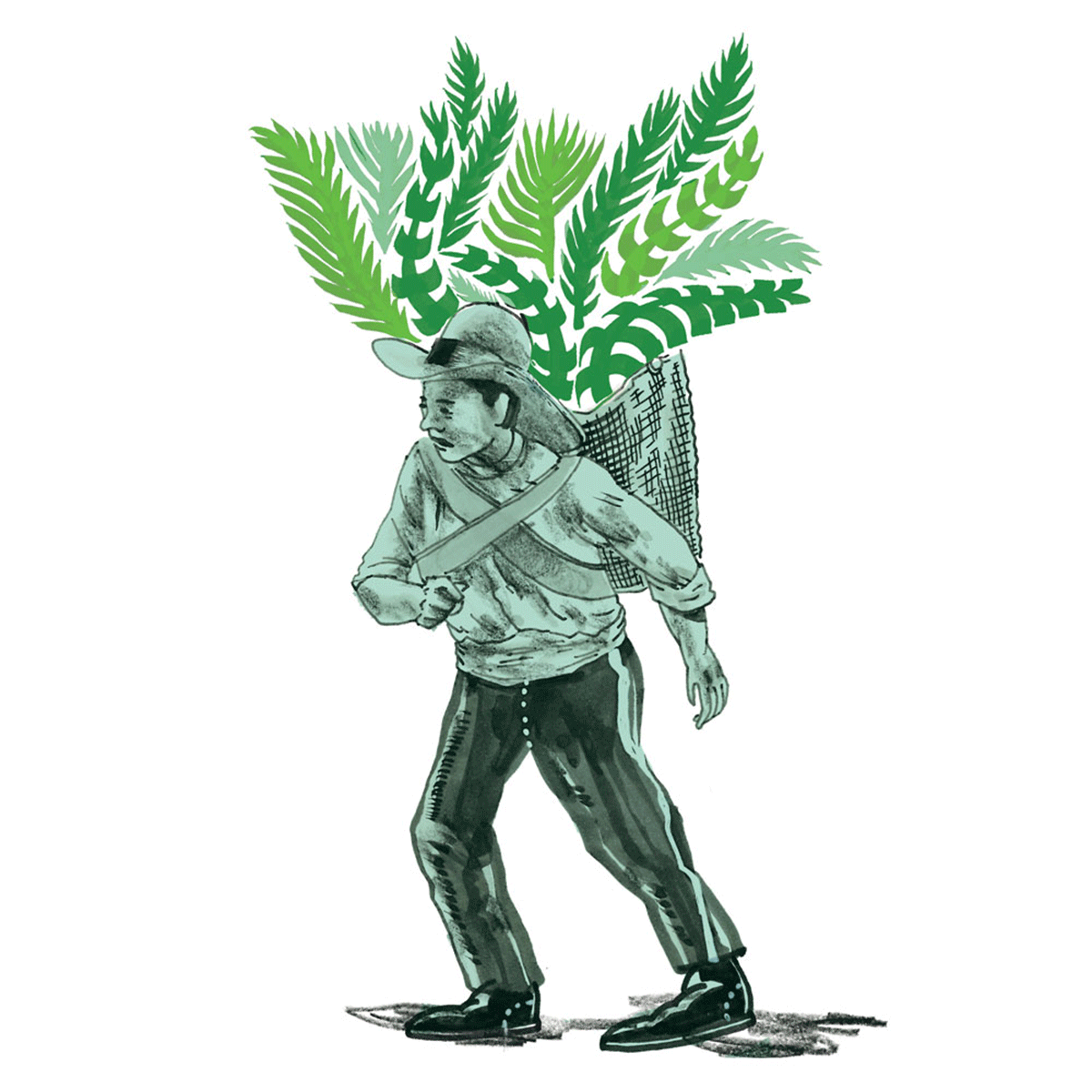 stage2_0006_07_c.png