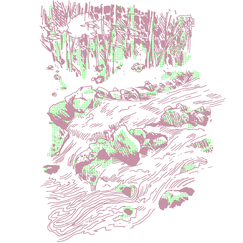 land_new.png
