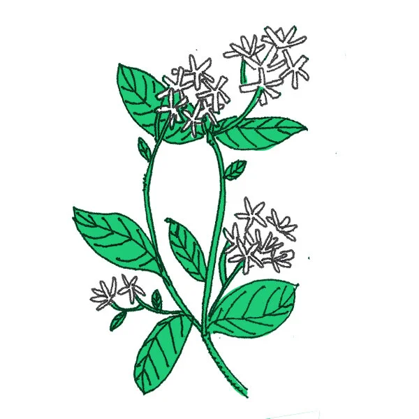 clipart_0000_Group 7.jpg