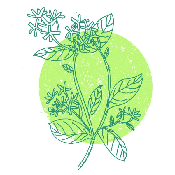 clipart_0001_Group 9.jpg