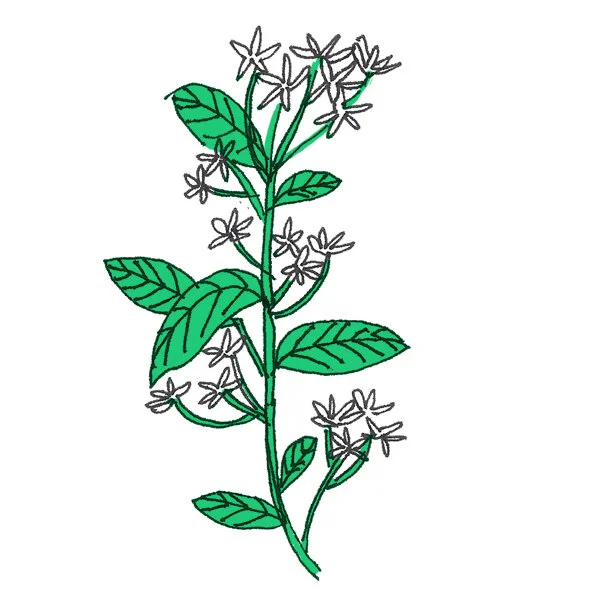 clipart_0006_Group 1.jpg