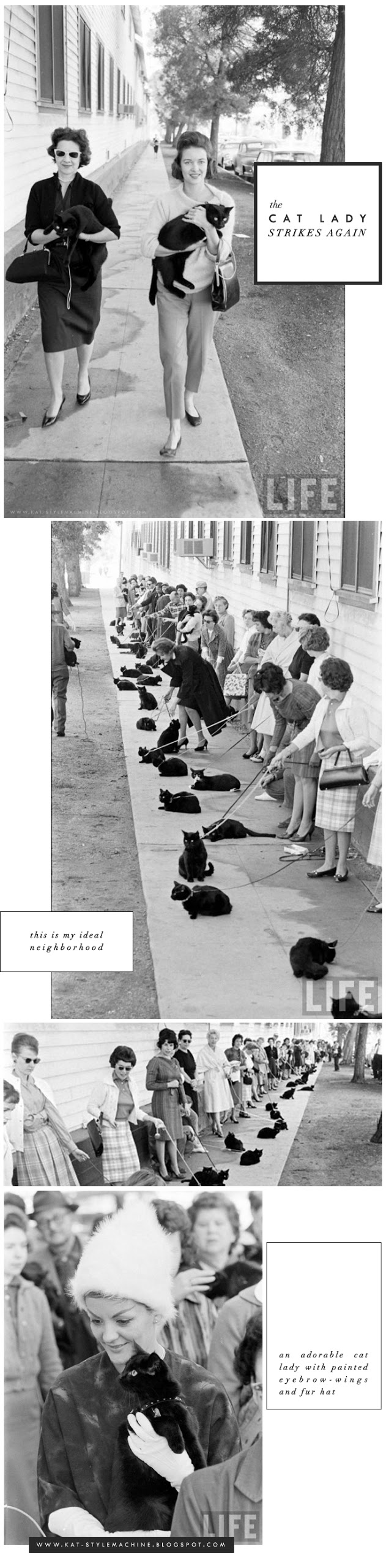 Cat Ladies 1961 Hollywood