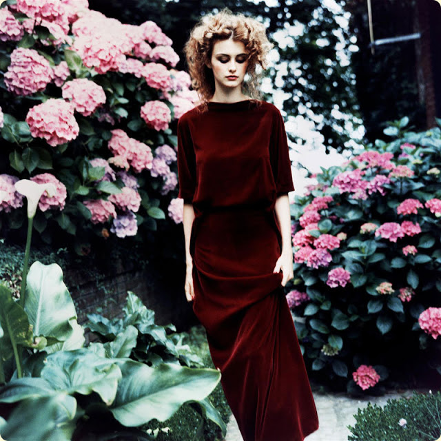 Velvet & Hydrangeas