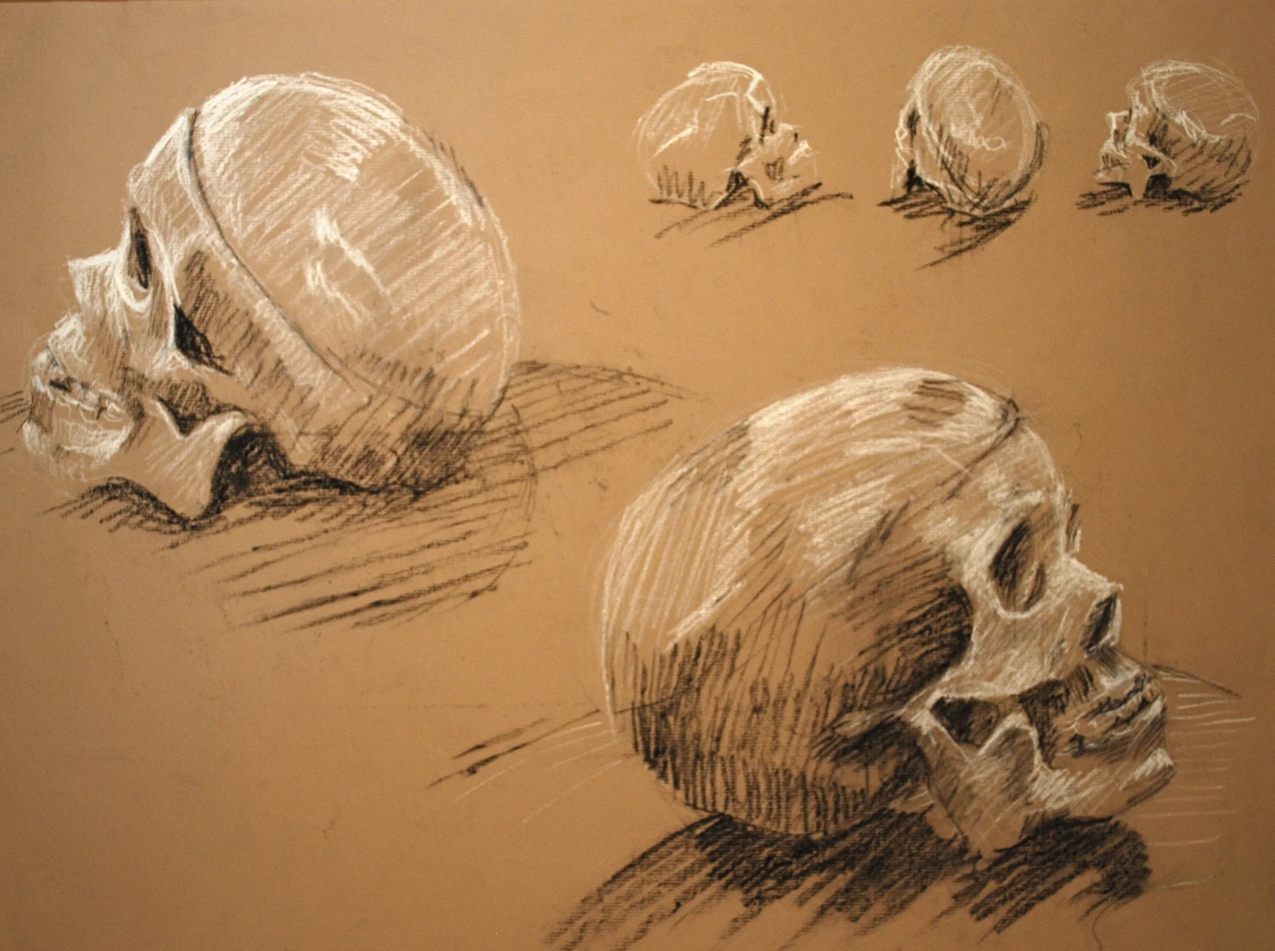 skullstudy1-kae.JPG
