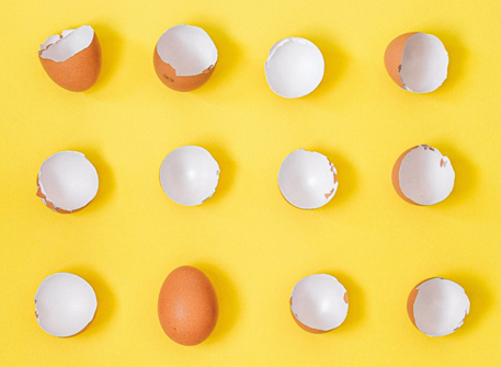 eggs3.png