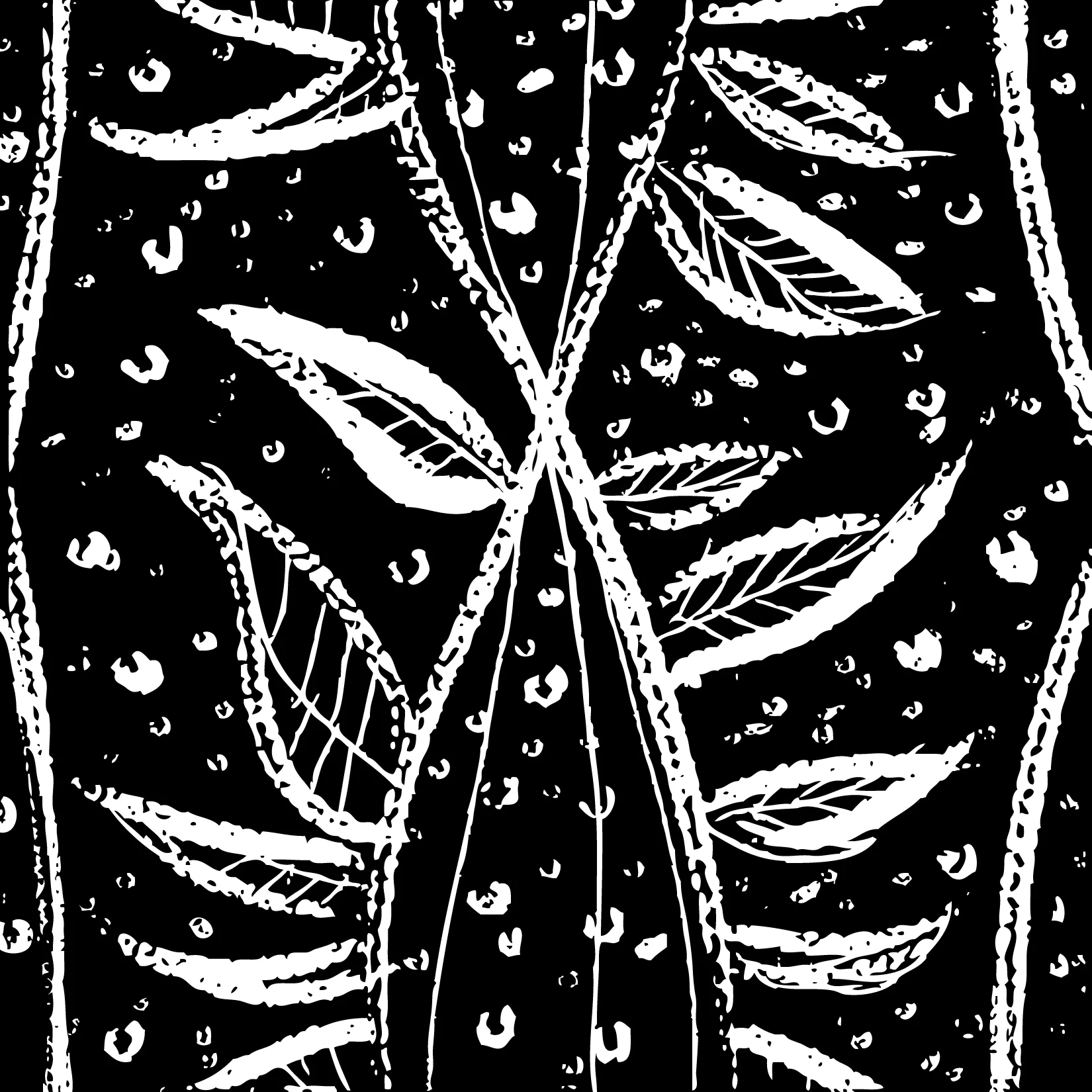 VINESBlackWhite1final.jpg