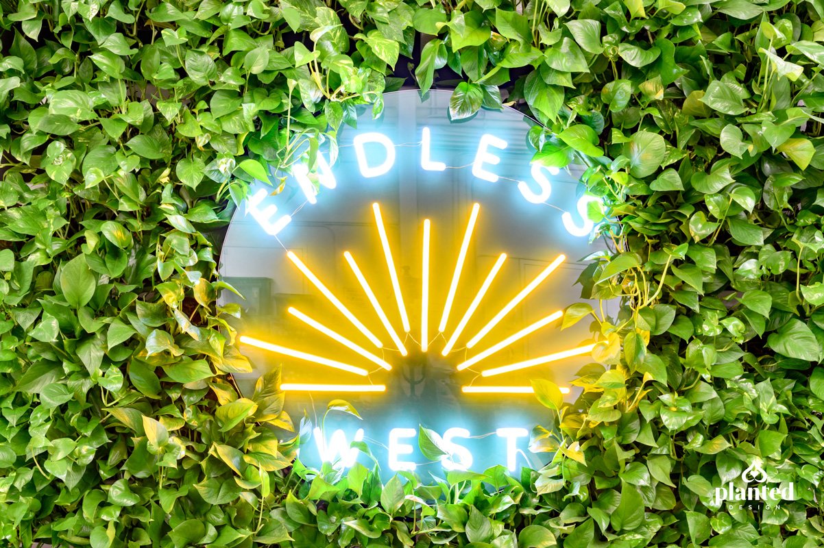 PlantedDesign_EndlessWest_Living_Green_Wall_Pothos_Neon_Signage_Reception_Logo_SanFrancisco_002_web.jpg