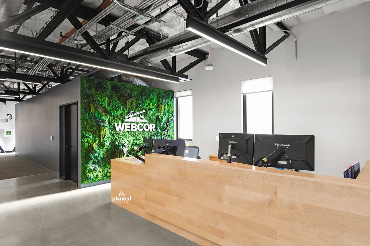 Planted-Design_Webcor_Reception_Preserved_Moss_Wall_Alameda_Custom_Signage_Logo_FoliagPlanted-Design_Webcor_Reception_Preserved_Moss_Wall_Alameda_Custom_Signage_Logo_Foliage-5.jpg