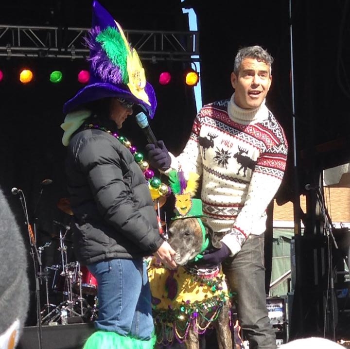 Andy Cohen with some Dog Contestants.jpg