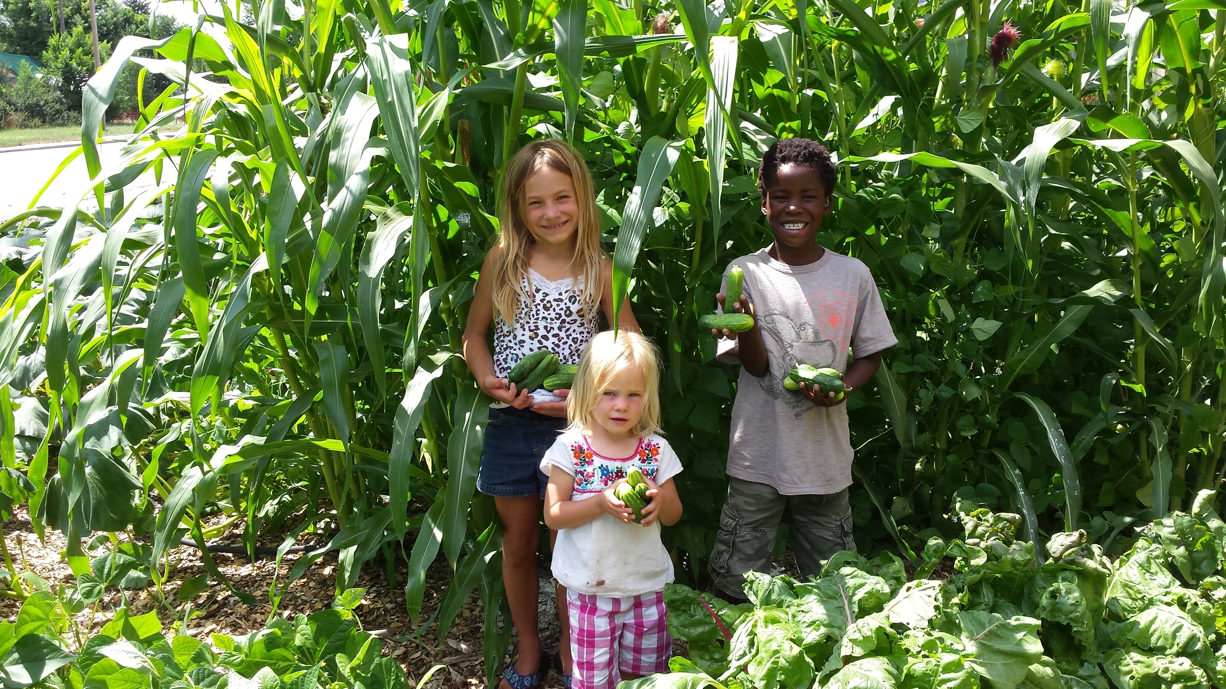 Peterson kids showing their bounty of cucumbers!
