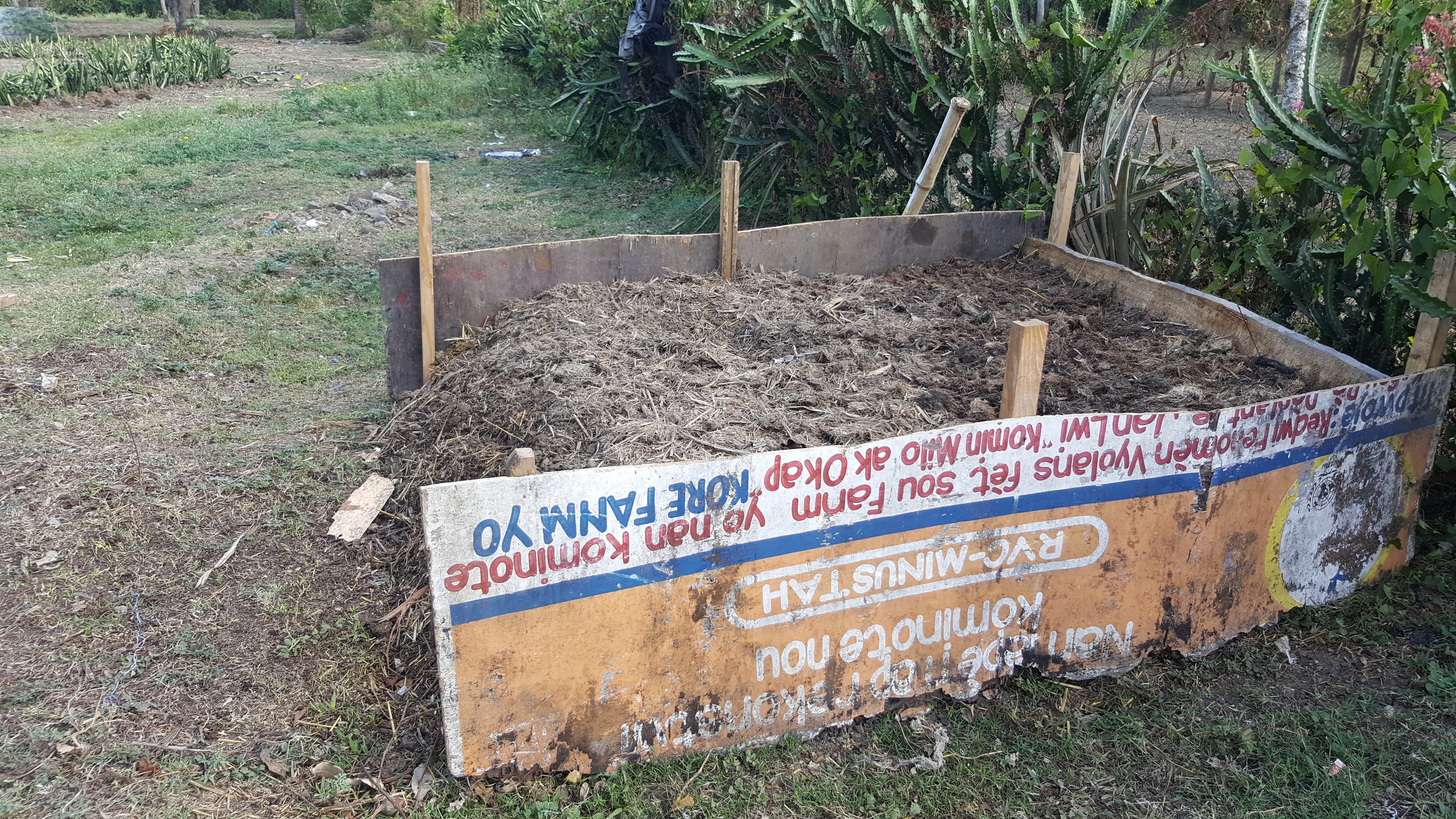  The compost pile we started together 5 years ago 