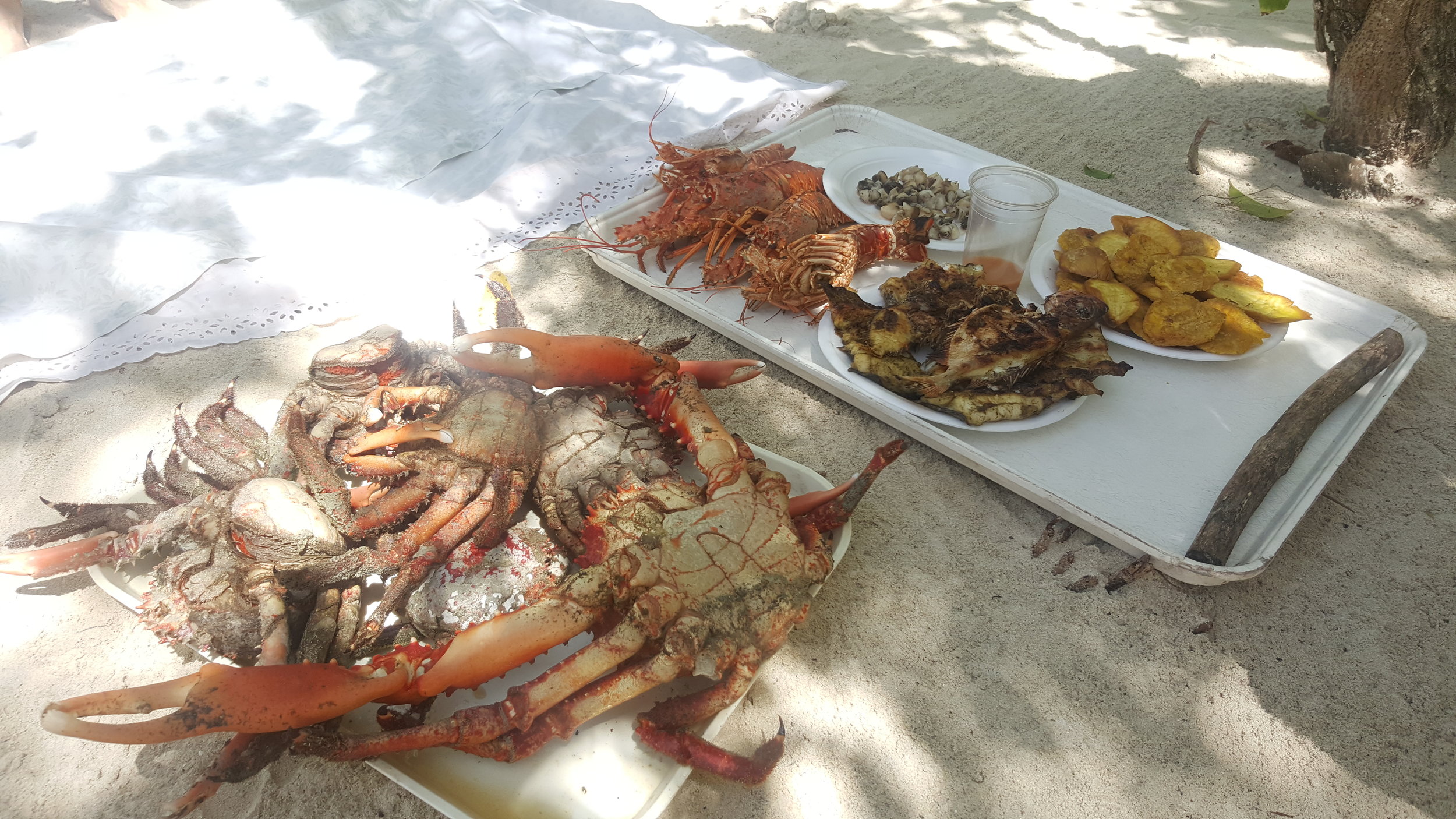 Lunch is ready! We used a stick and a rock to crack open the crab legs and lobster tails. They used a very spicy Haitian sauce on the conch which was tasty. It was very simple - pure seafood, no frills! Our favorites were the eel and crab.