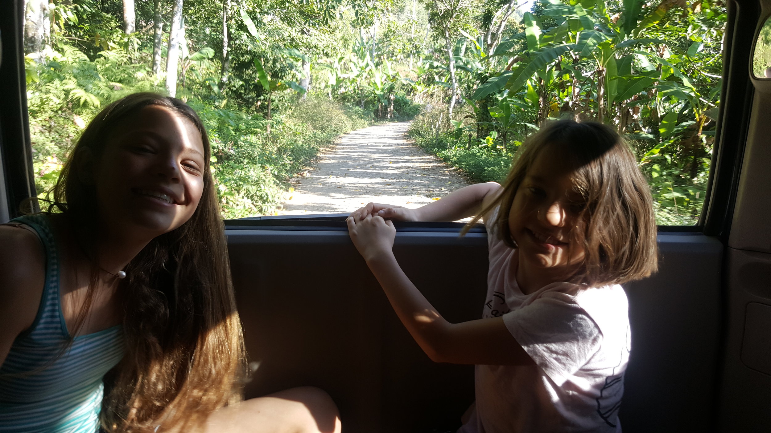 Enjoying the view from the backseat