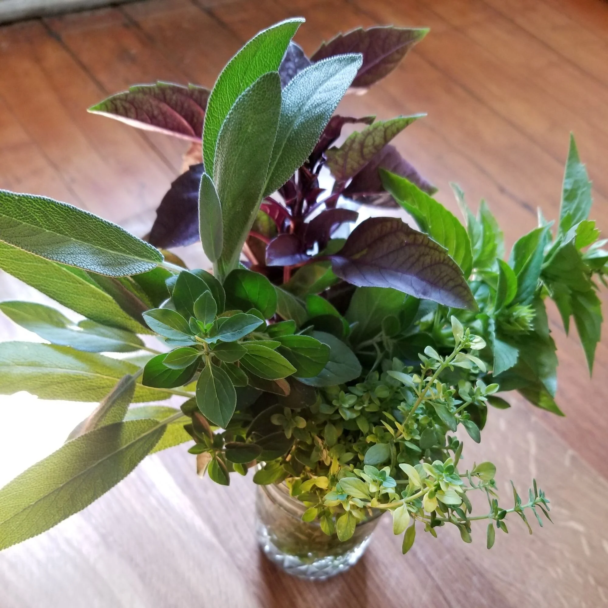 herbs.jpg