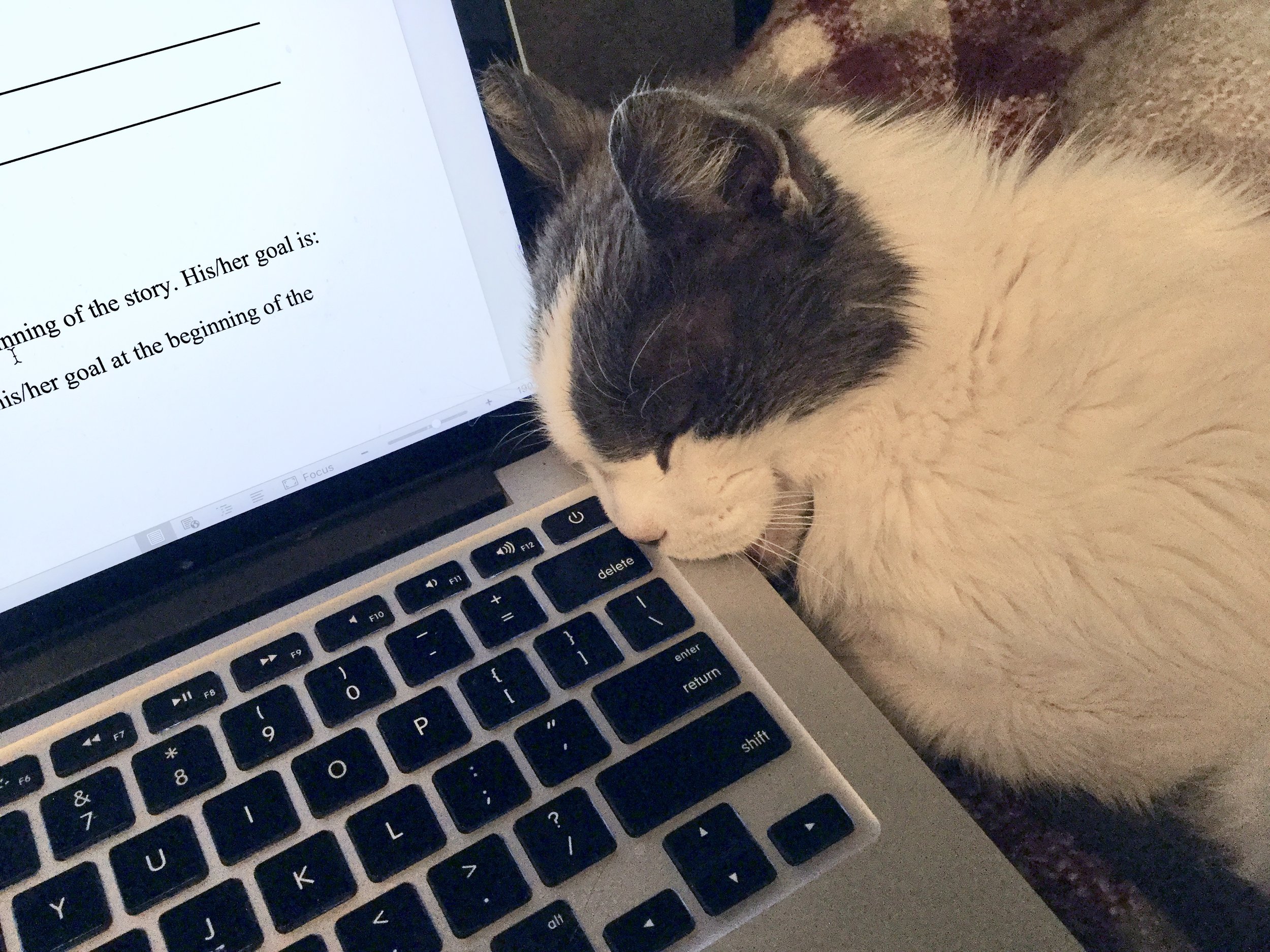 sabertooth Robin Glassey.jpeg