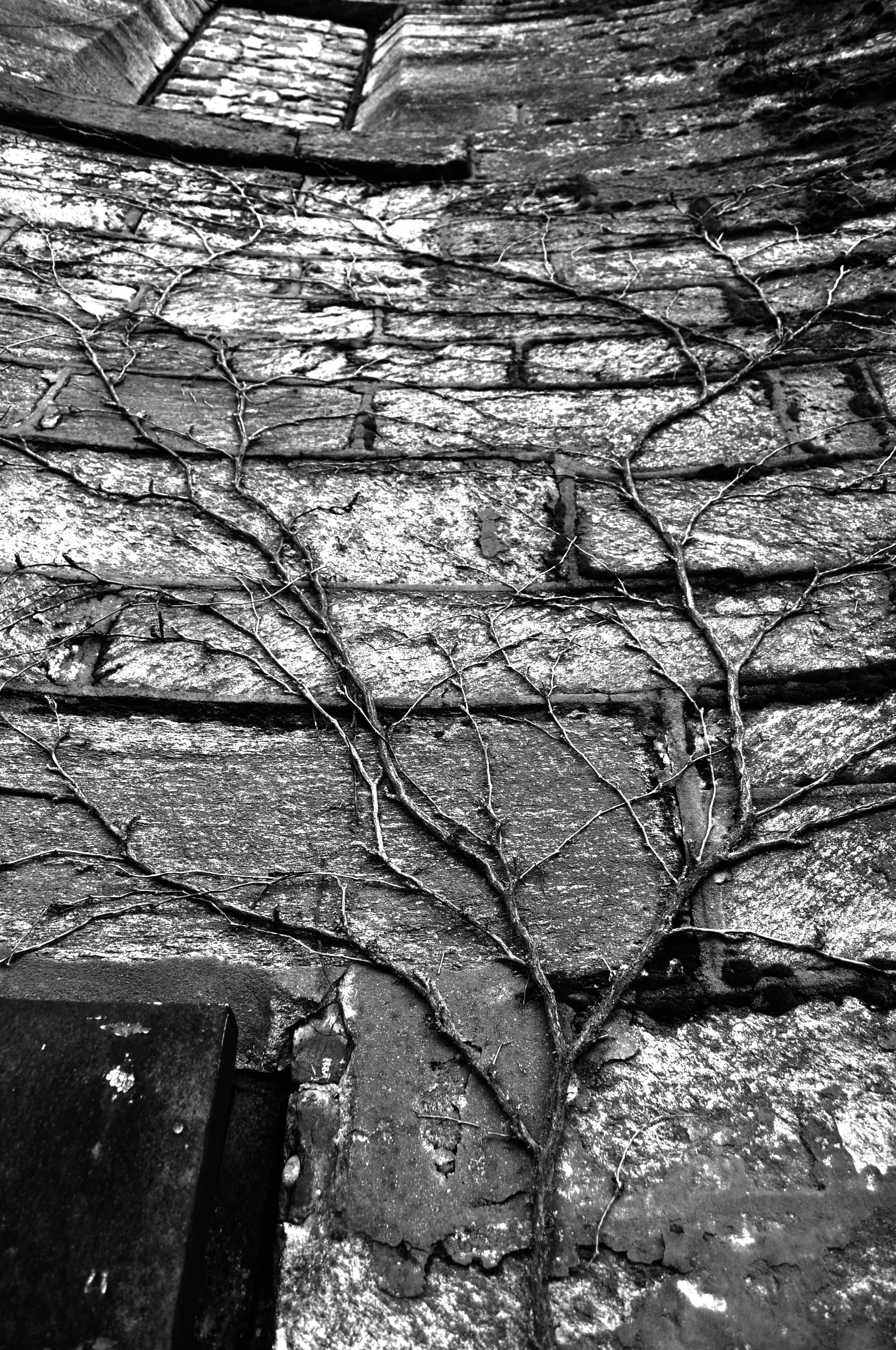 DSC_0069_2.jpg