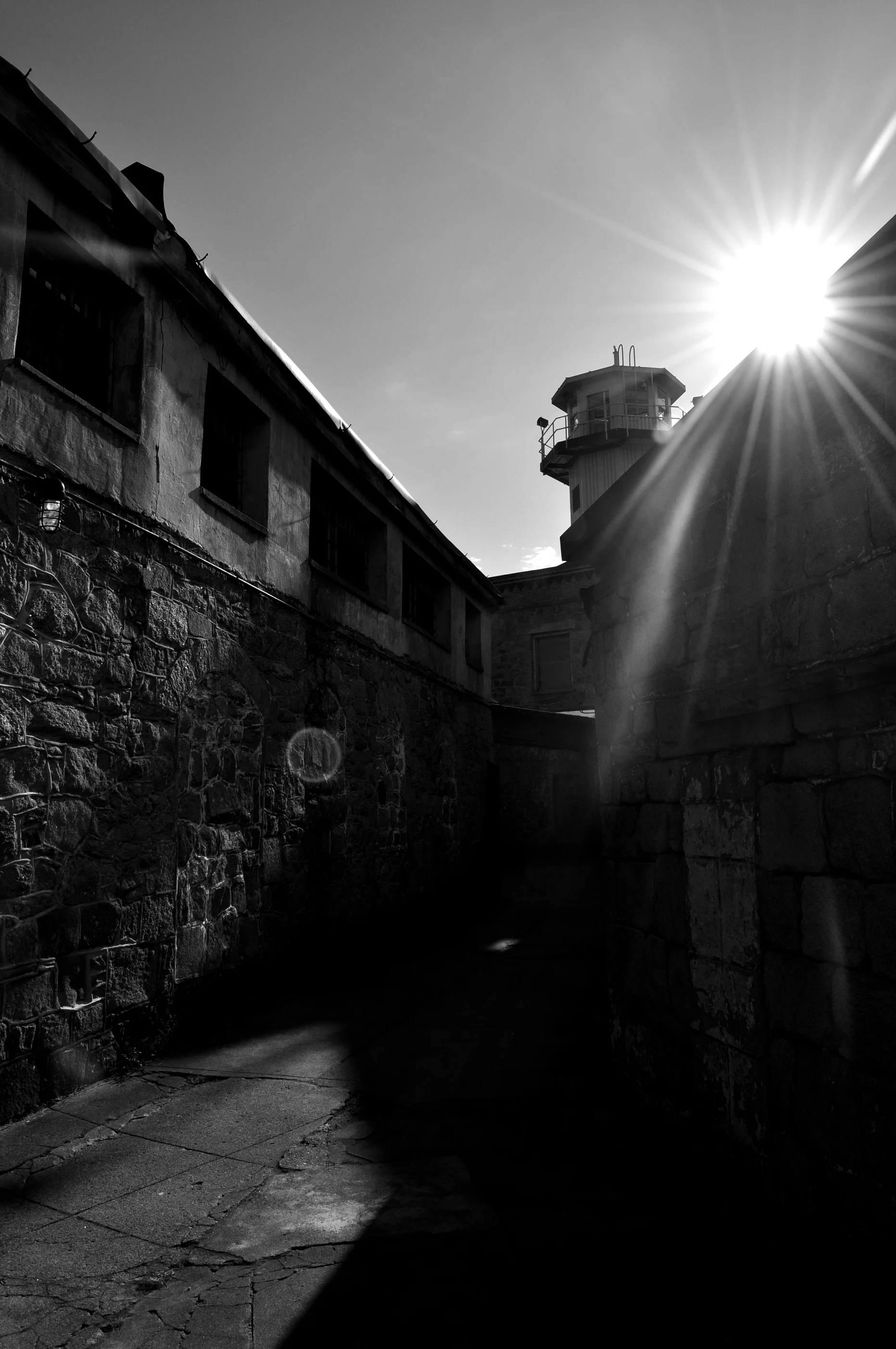 DSC_0097_2.jpg