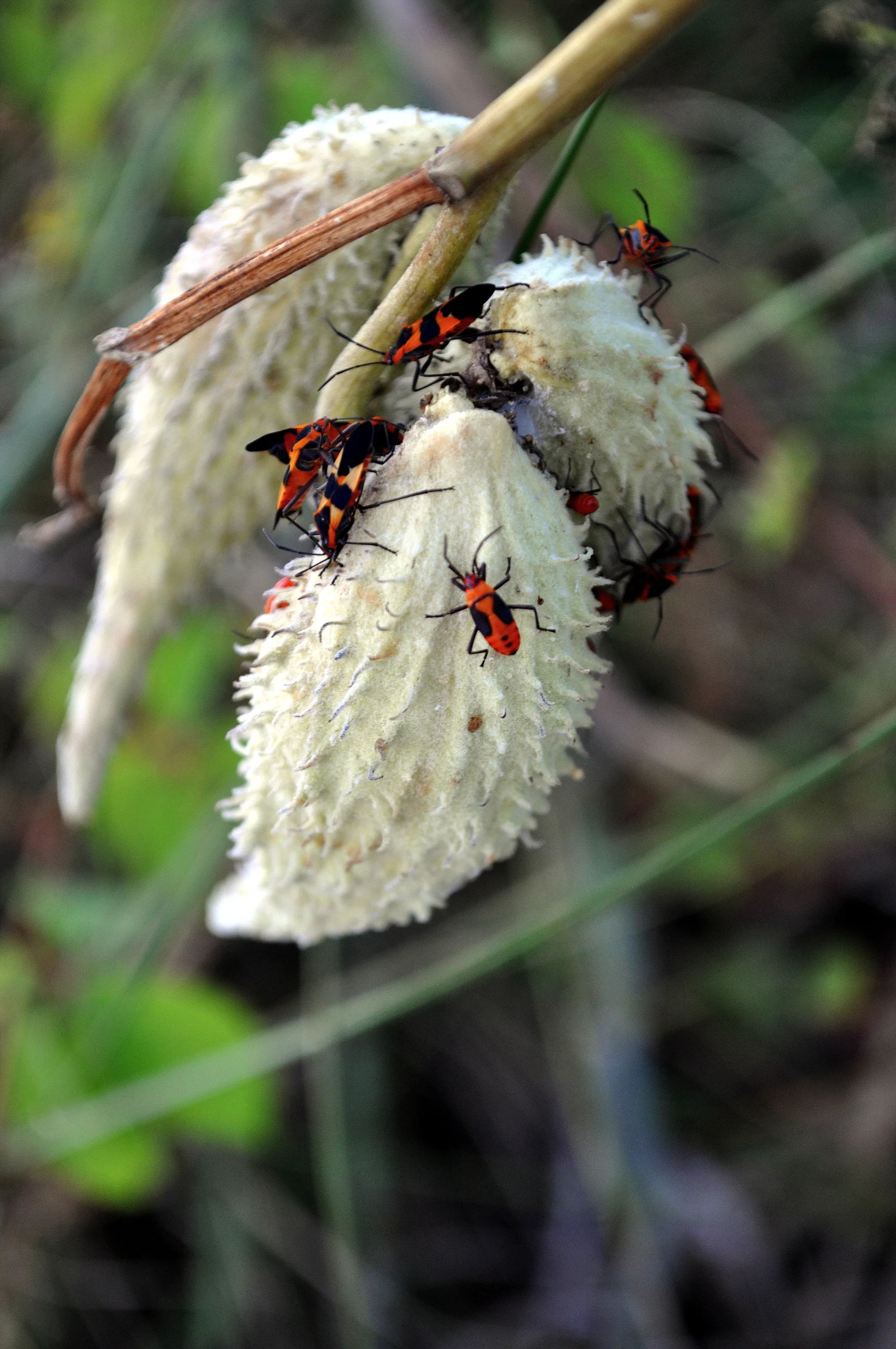 DSC_0401_2.jpg