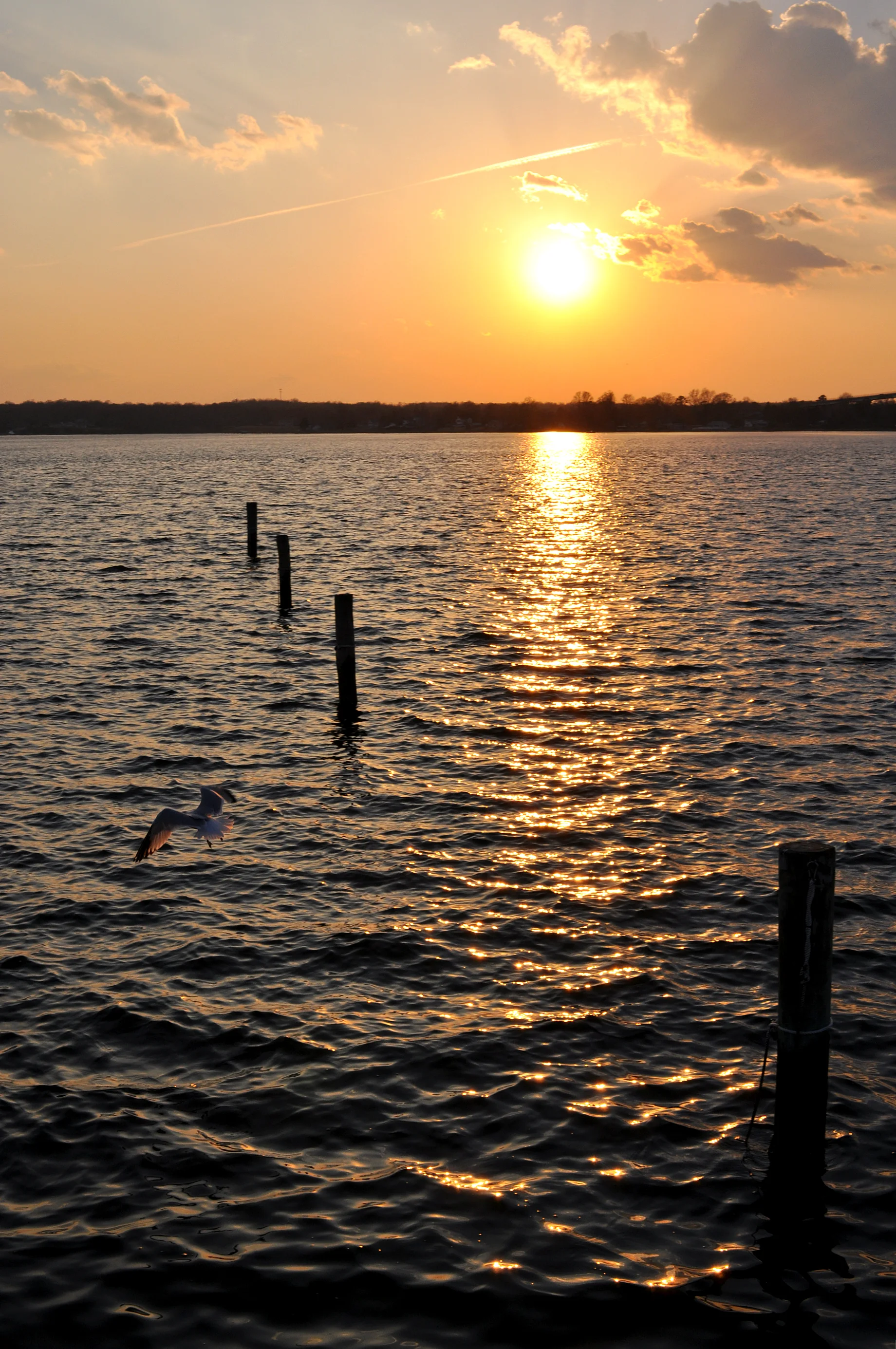 DSC_0047_2.jpg