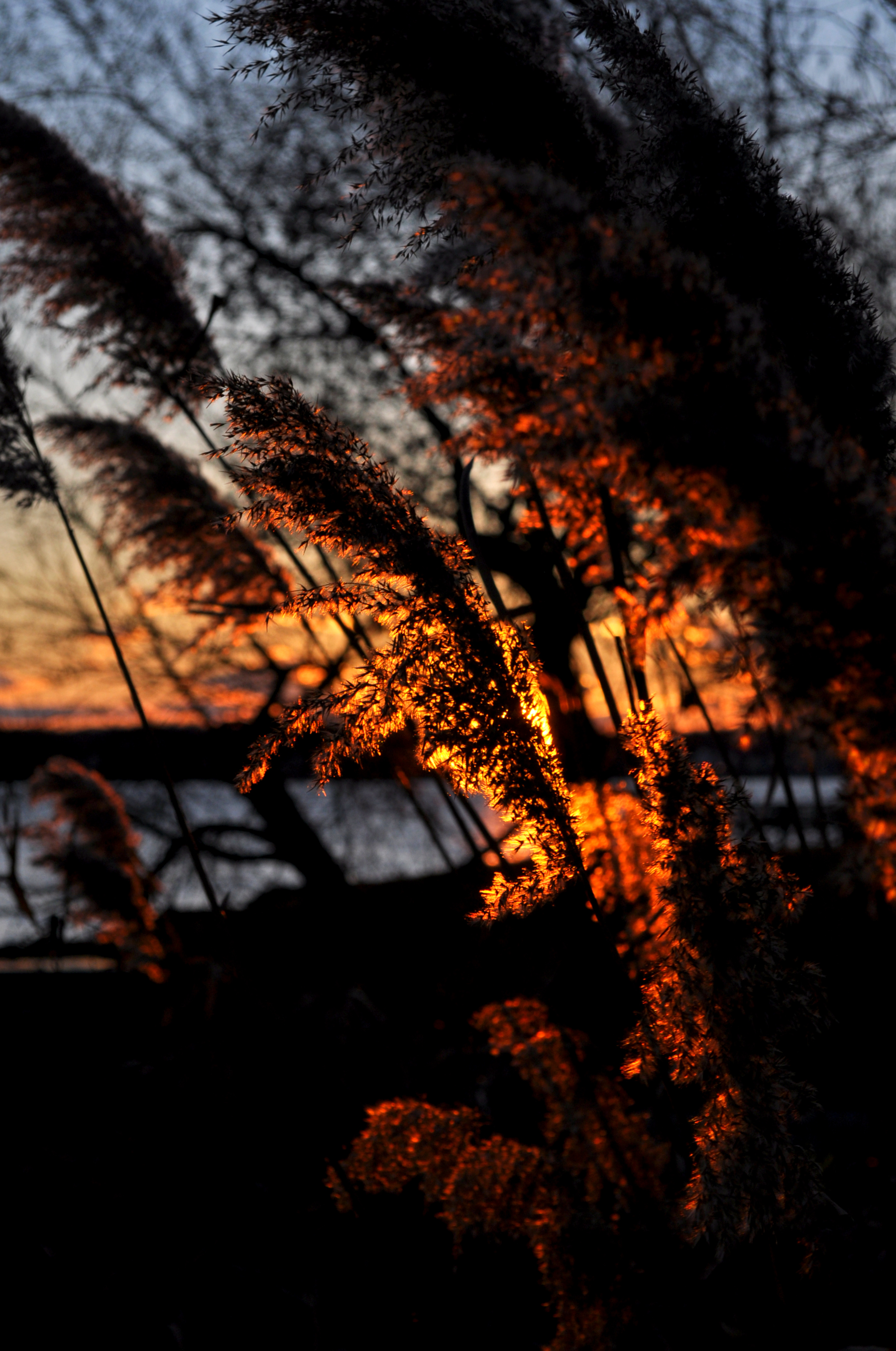 DSC_0002_2.jpg