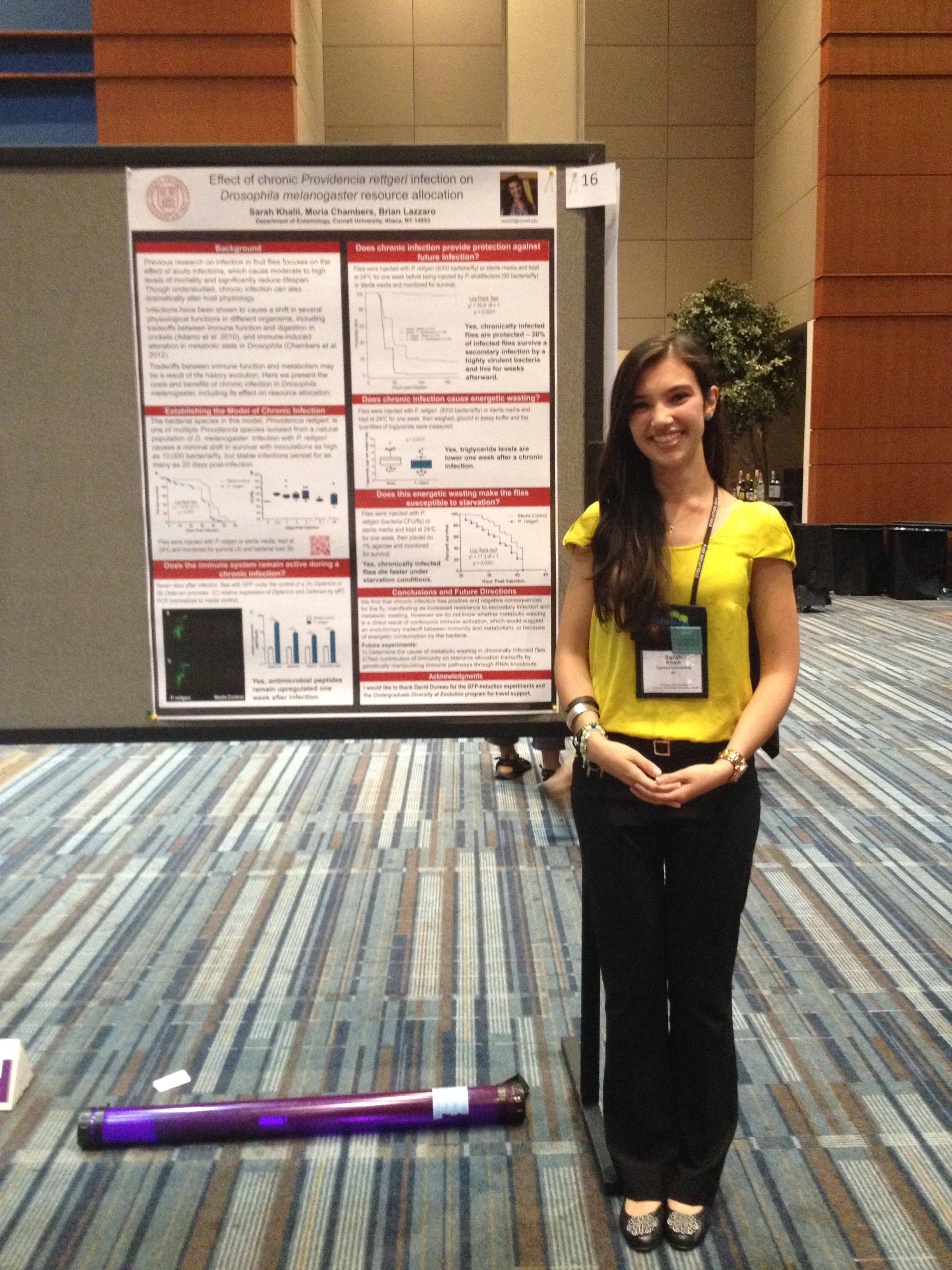 Sarah presenting at Evolution