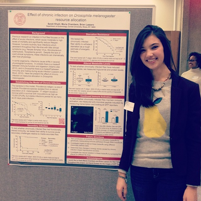 Sarah presenting at CURB Fall Research Forum