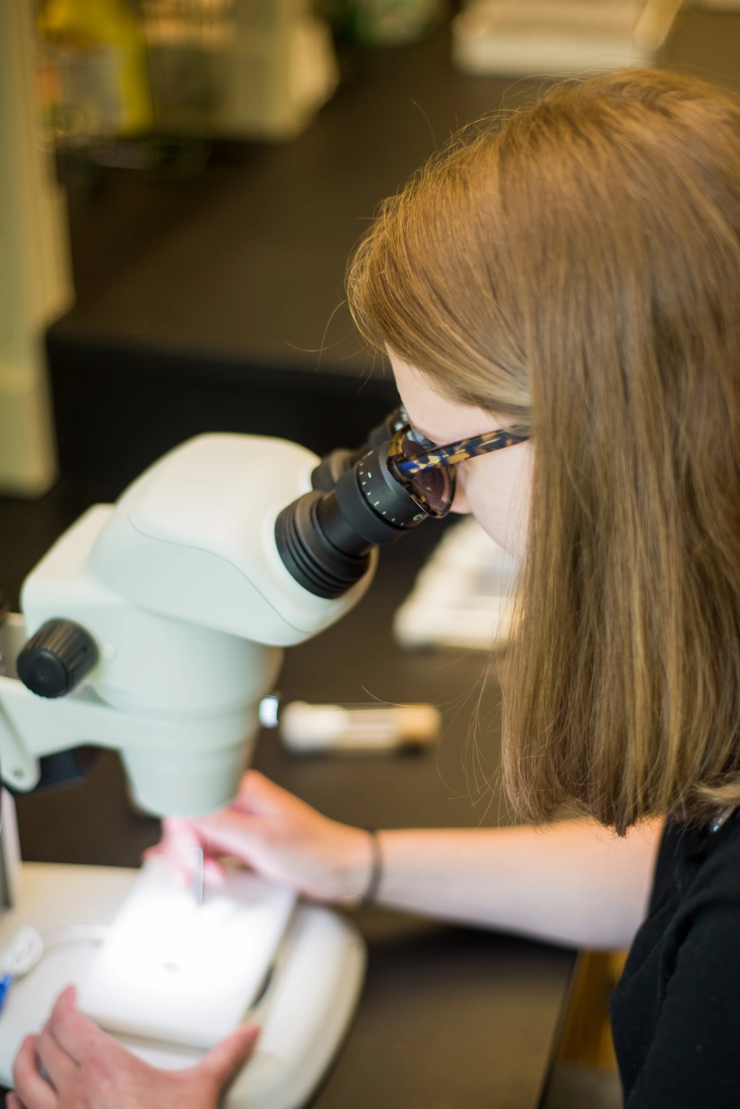 BiologyResearch-KatherineNichols-6.jpg