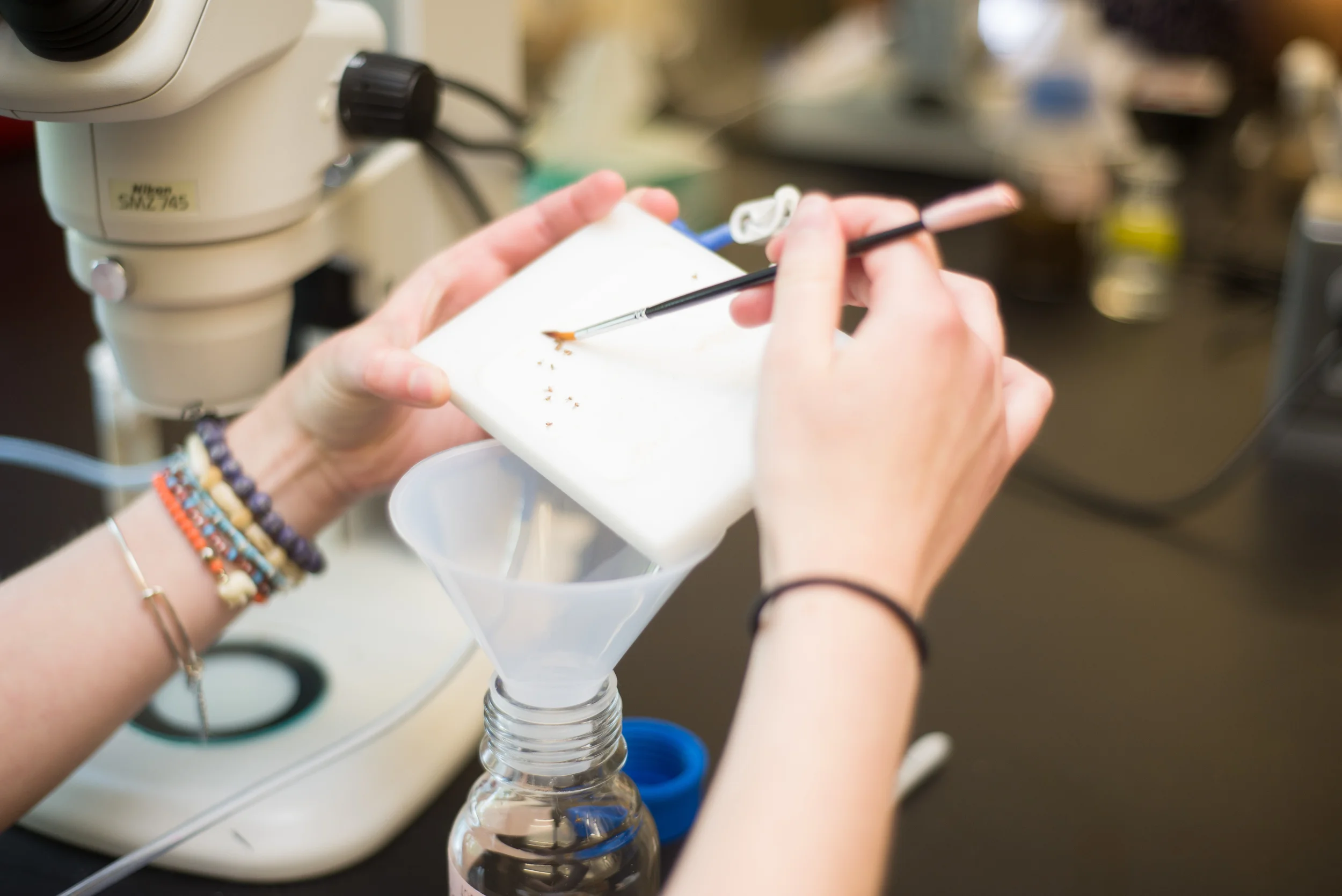 BiologyResearch-KatherineNichols-12.jpg
