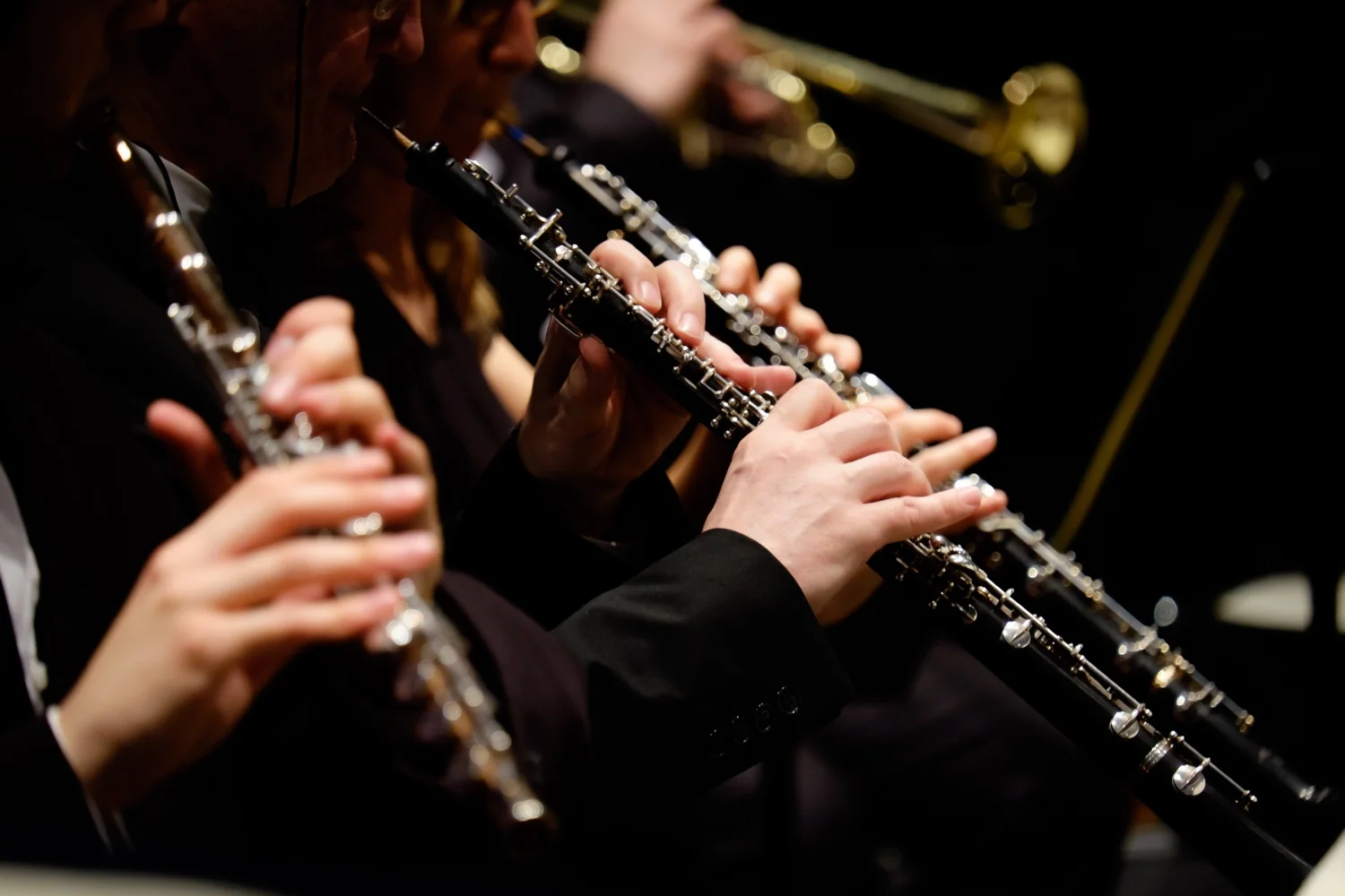AdobeStock_90945451_smaller_Woodwind.jpg