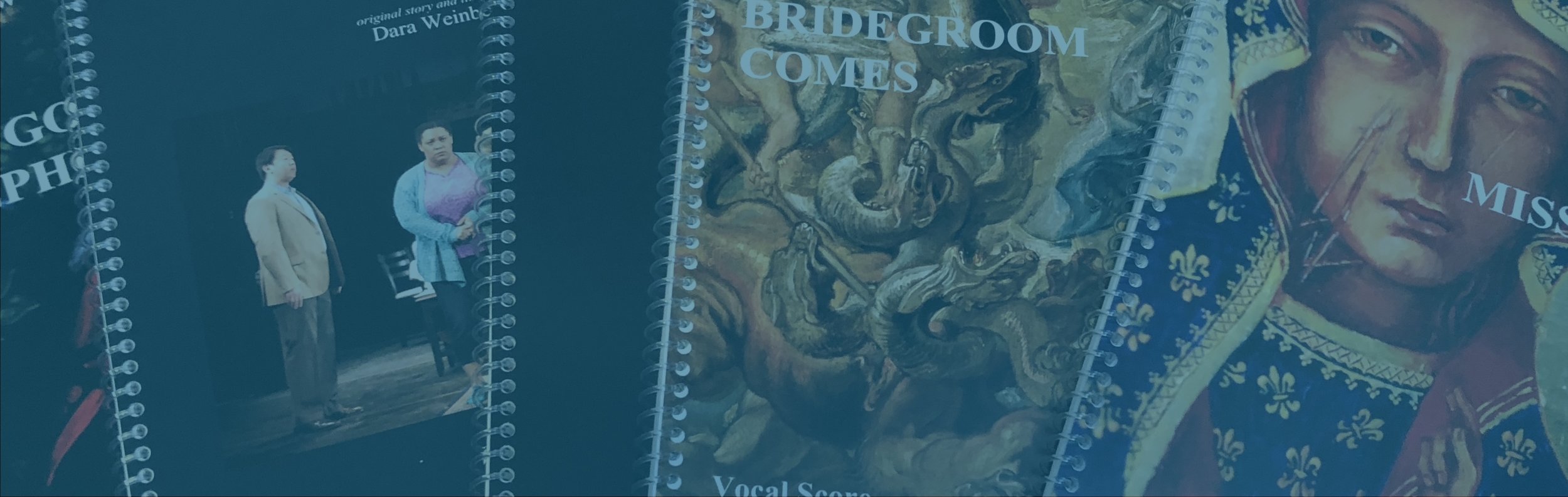 Banner_Blue2_Orchestra1.jpg