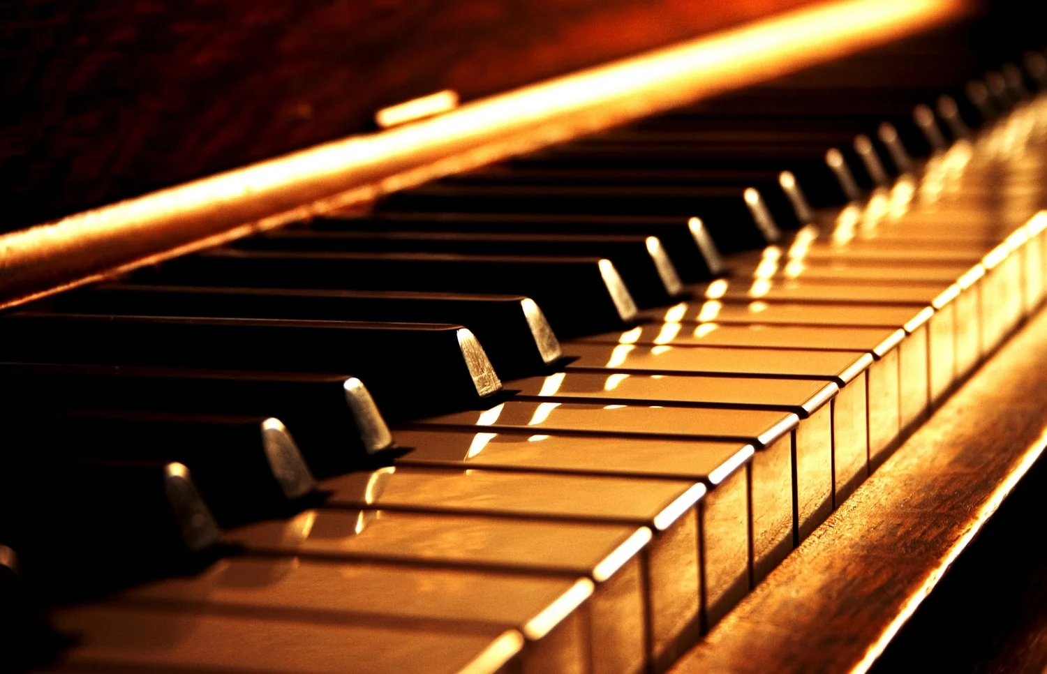 AdobeStock_14607654_smaller.jpg