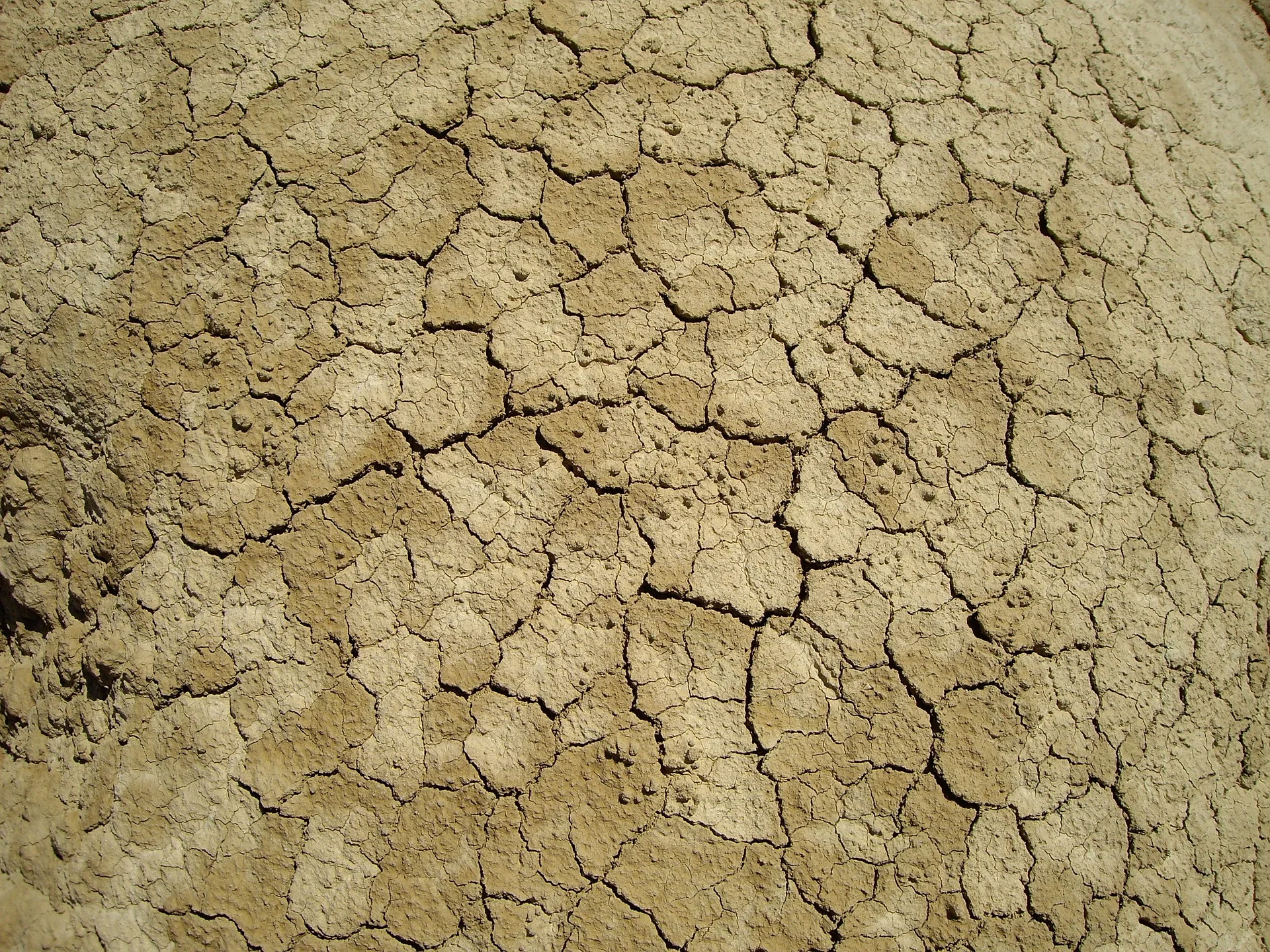 desert-838580_1920.jpg