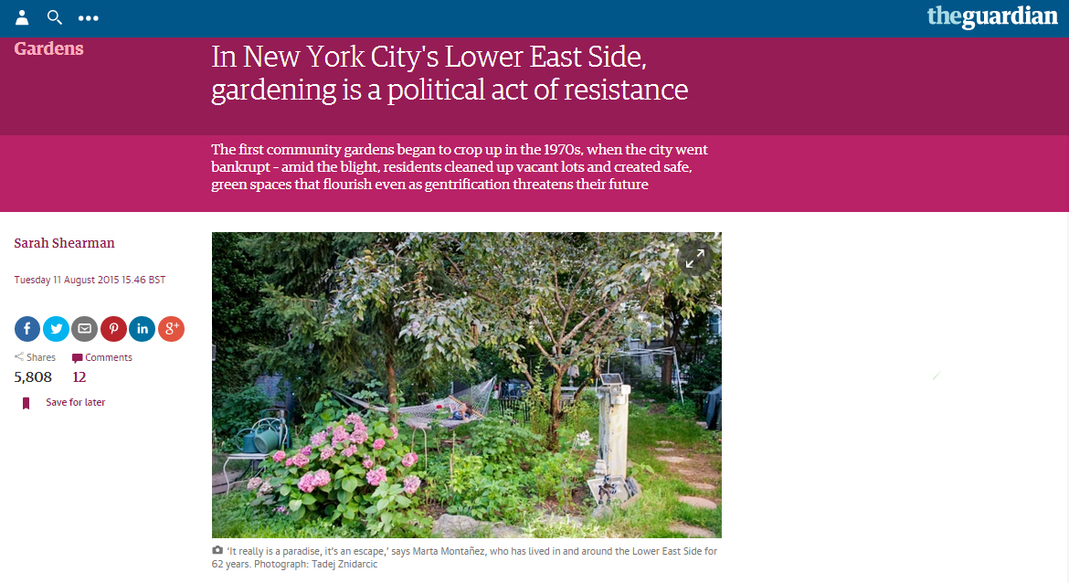 Lower East Side community gardens for The Guardian , USA (story by Sarah Shearman).
