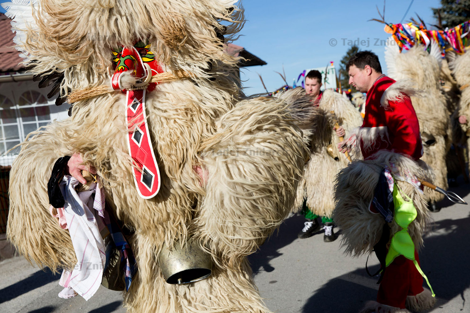 Korant during Fasenk in Zabovci. Koranti jump and twist, and cow-bells ring. It's a loud celebration!