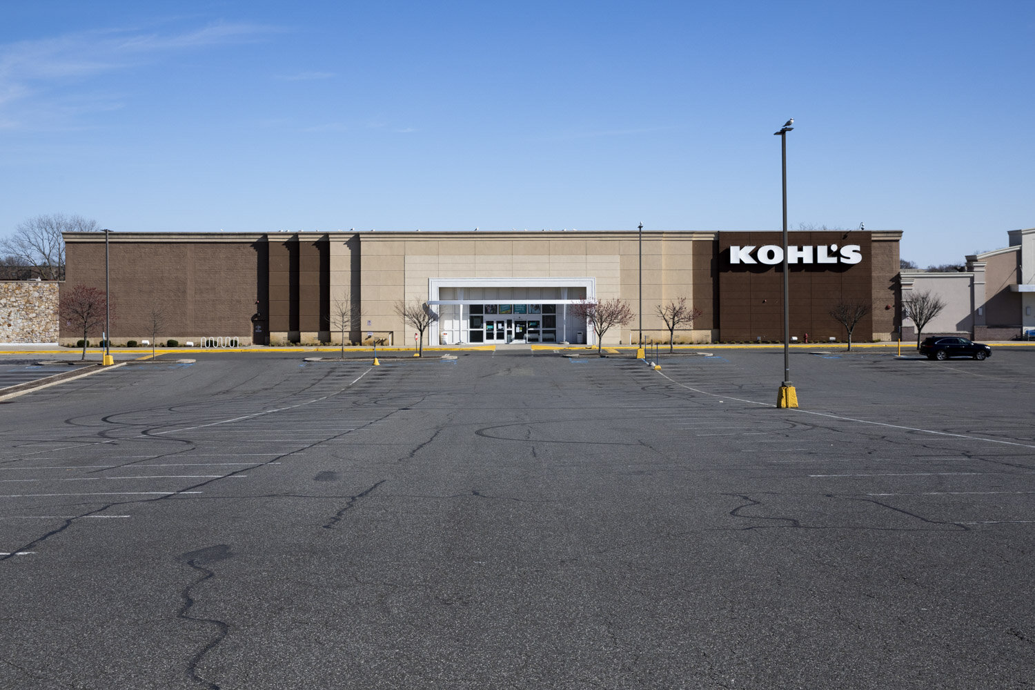 la fitness port chester new york
