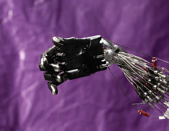 RoboHand.gif