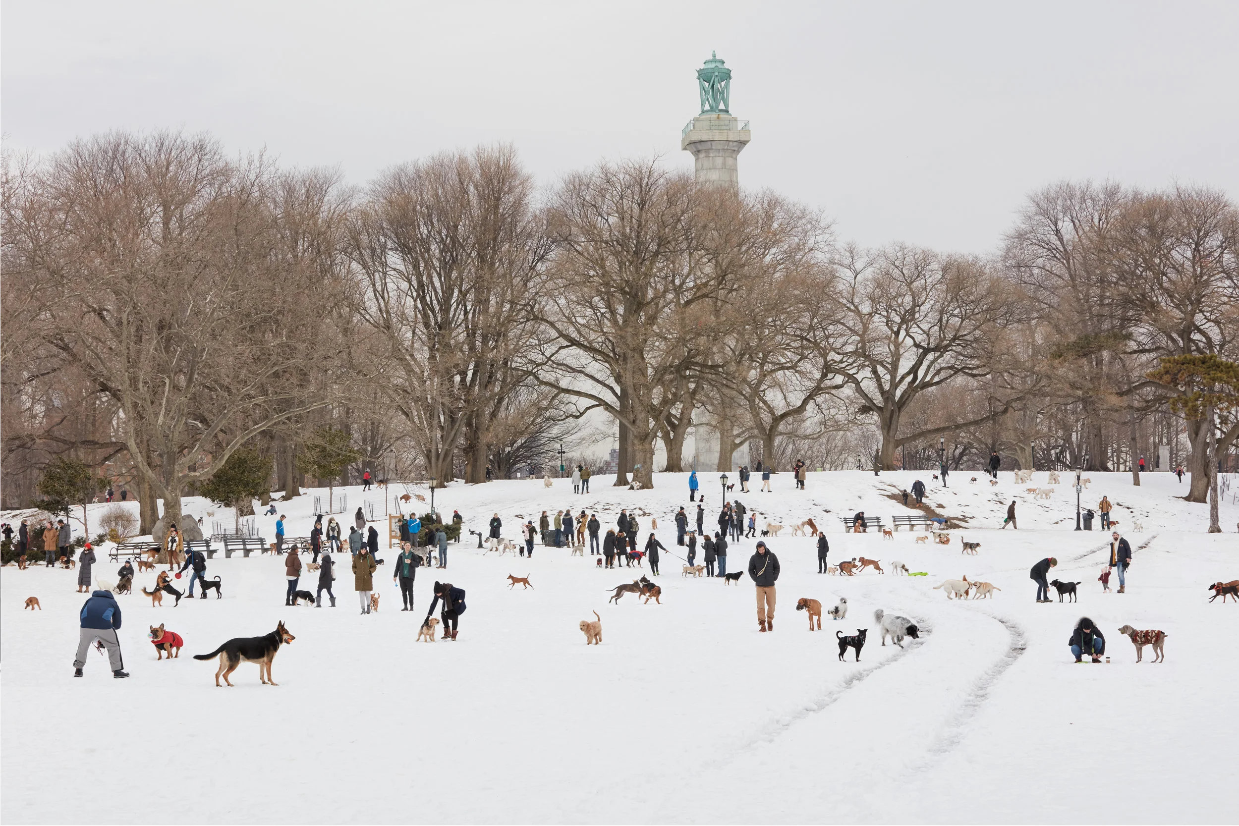 FortGreene_Park-Full.jpg