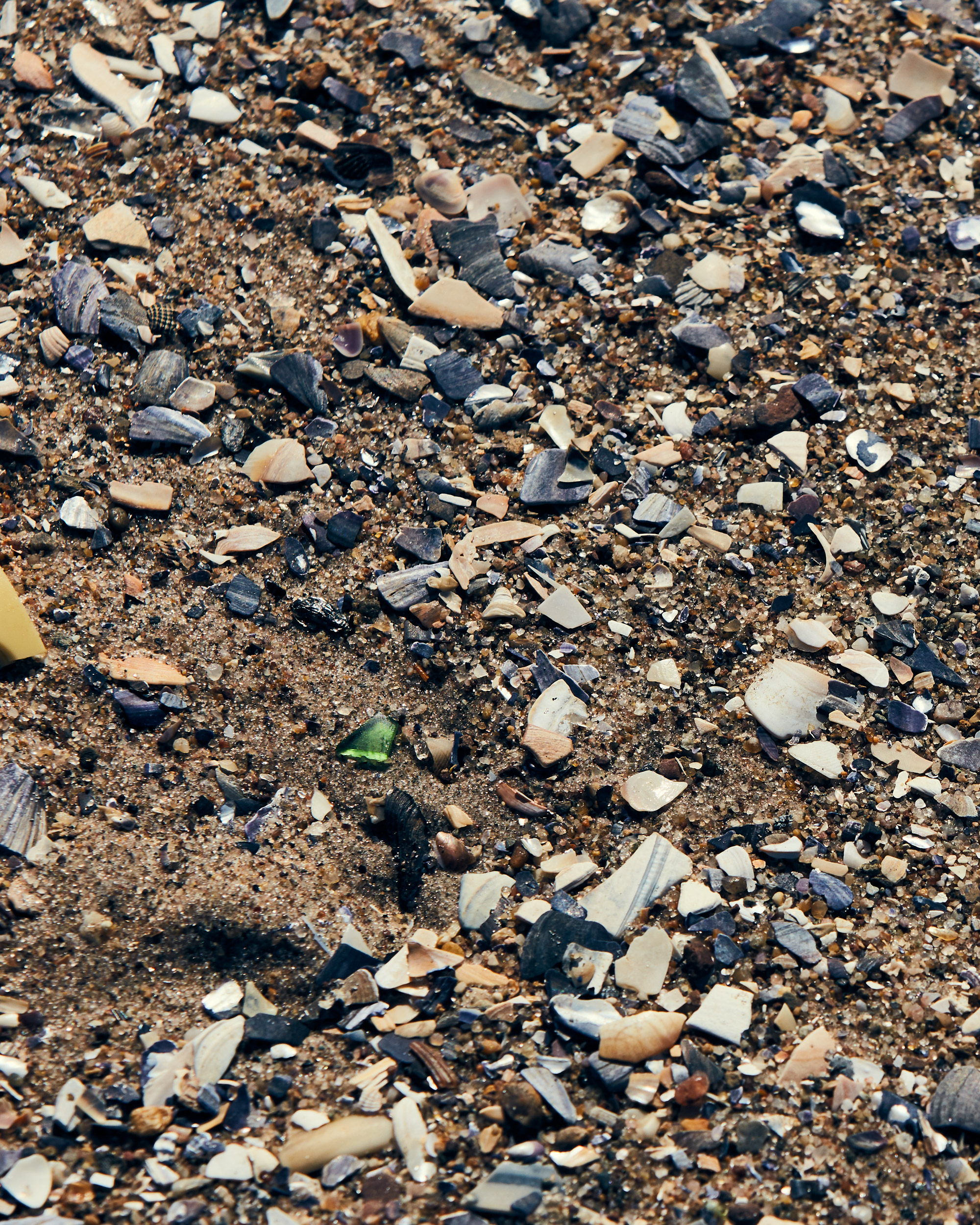 Nesteruk-180306-ConeyIsland-Cold-0175.jpg