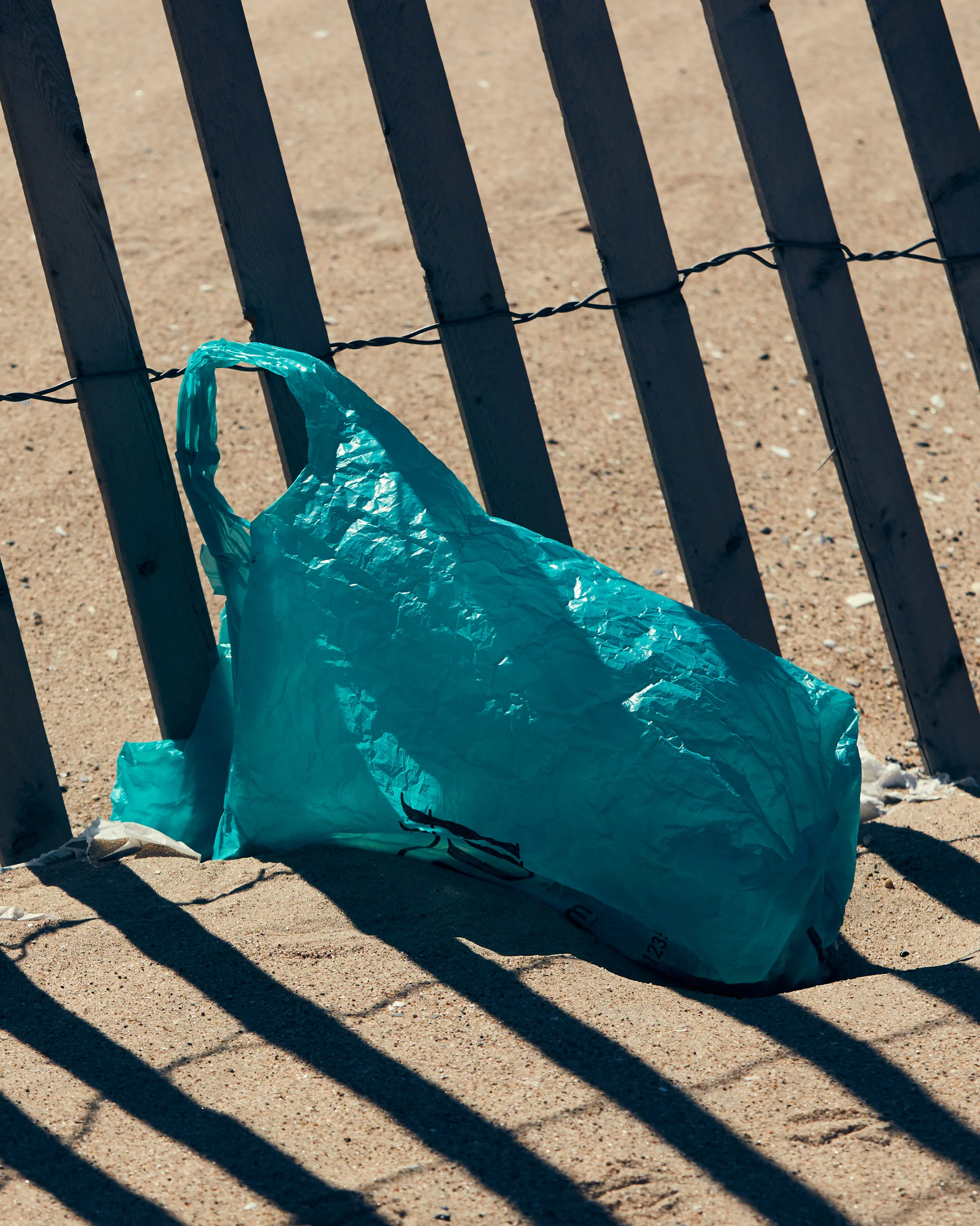 Nesteruk-180306-ConeyIsland-Cold-0312.jpg