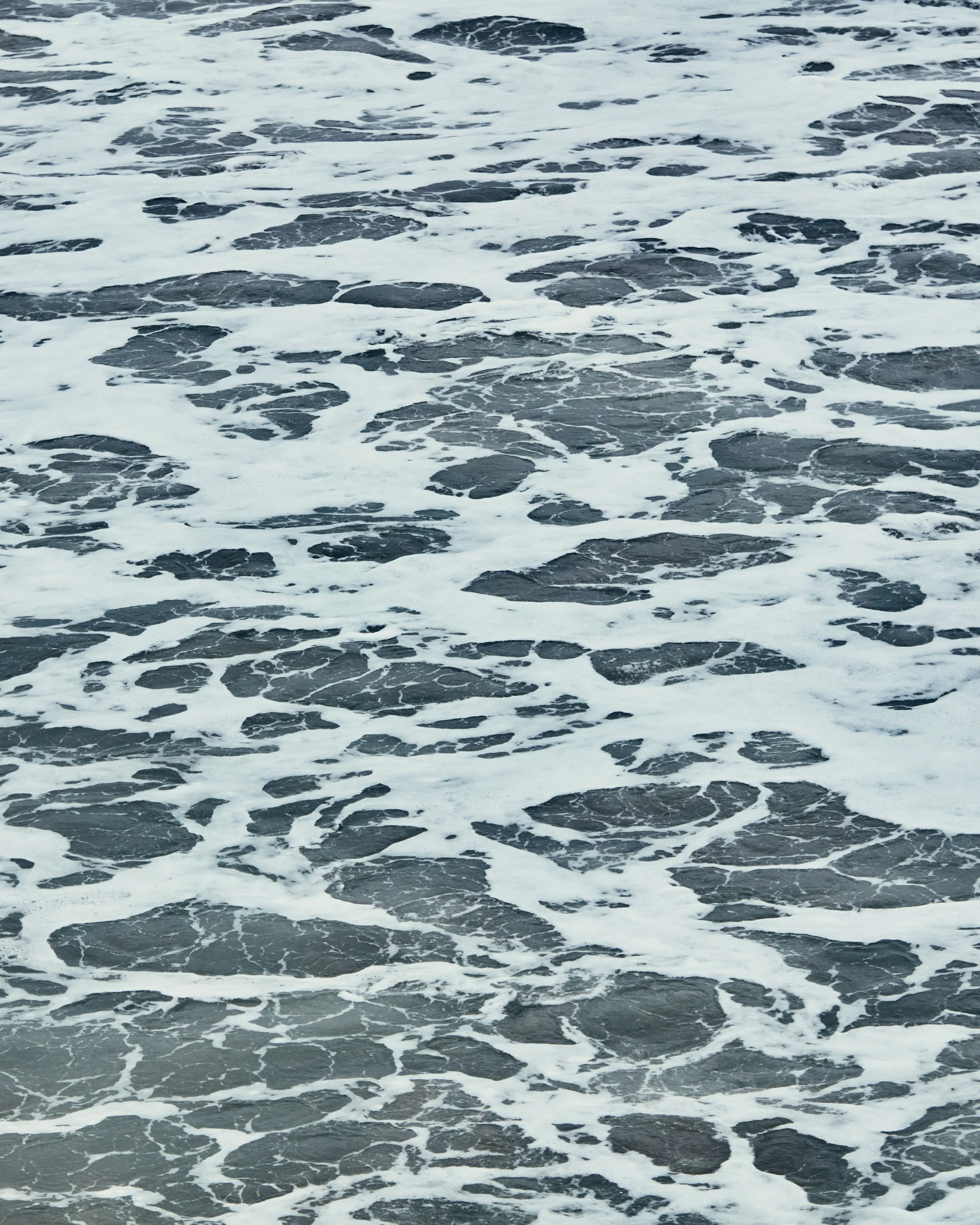 Nesteruk-180306-ConeyIsland-Cold-1154.jpg